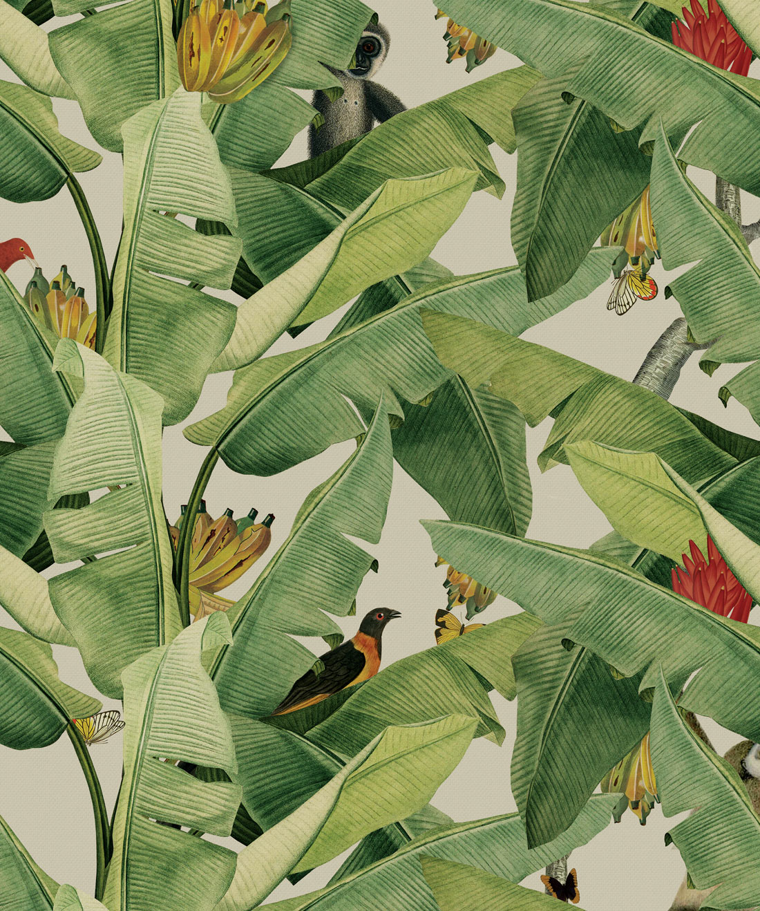 Jungle Leaf , HD Wallpaper & Backgrounds