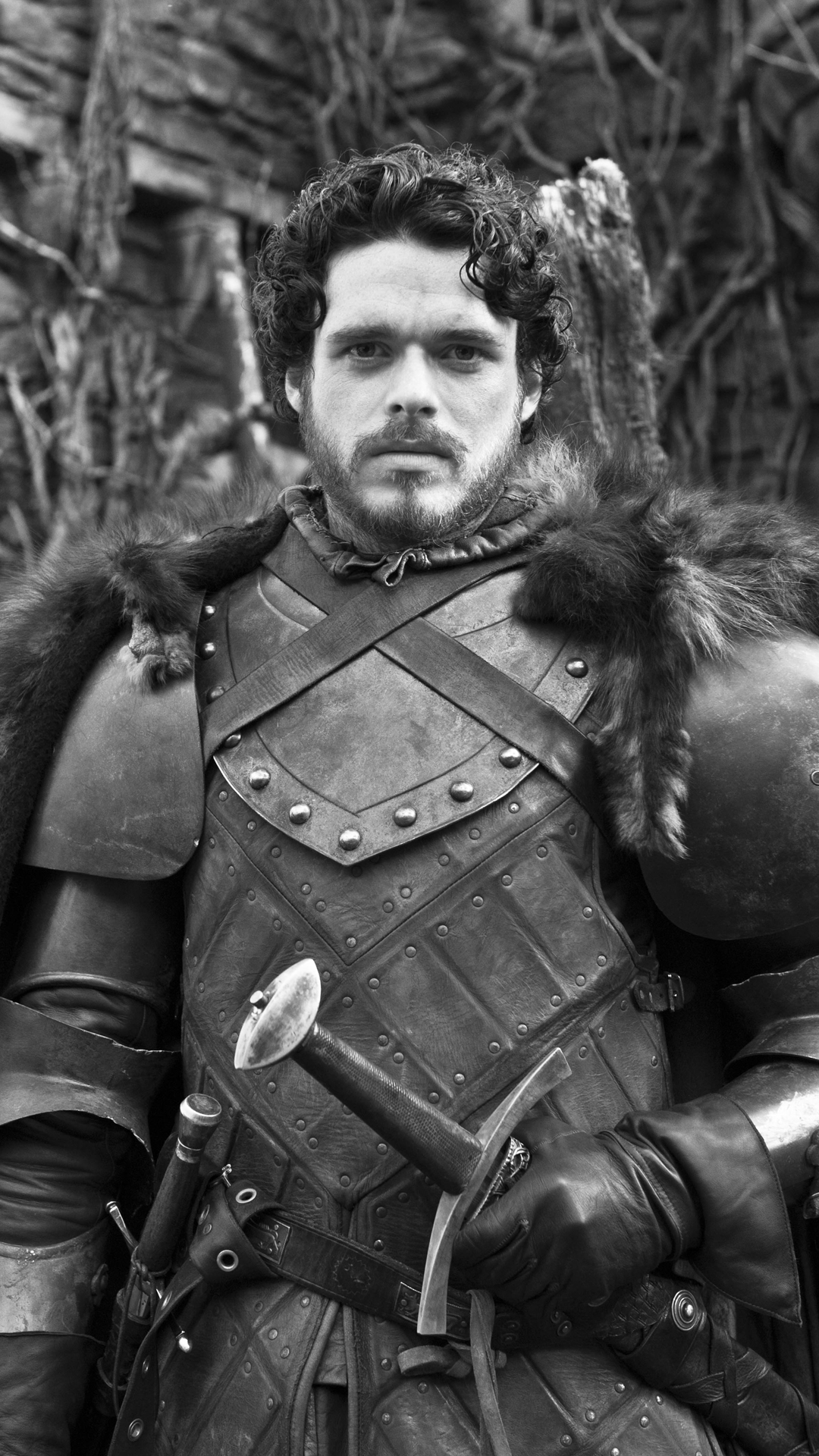 Robb Stark Game Of Thrones - King Of North Game Of Thrones , HD Wallpaper & Backgrounds