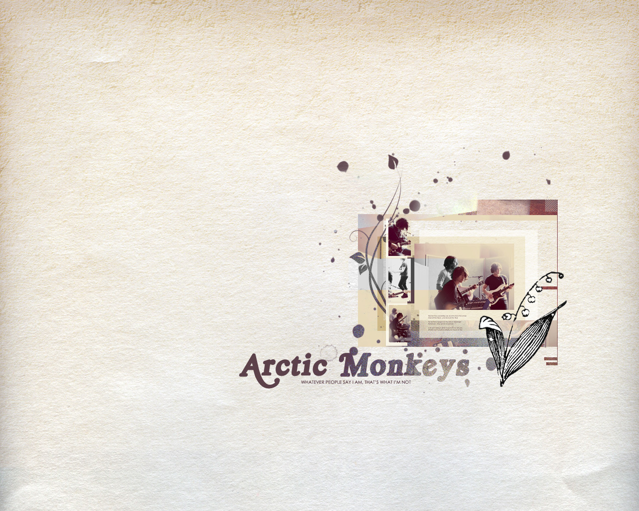 Arctic Monkeys <3 - Alcopop! Records , HD Wallpaper & Backgrounds