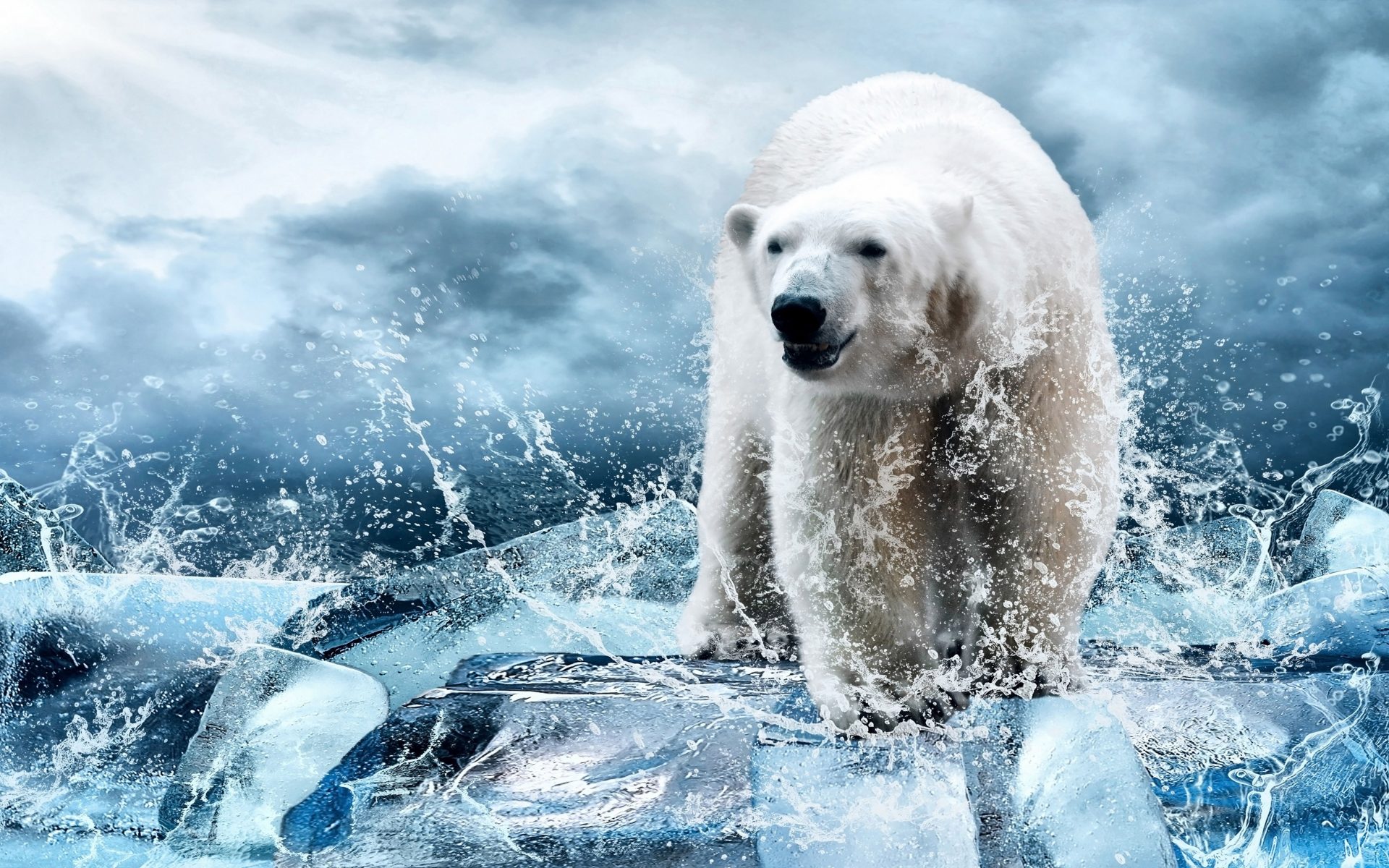 Polar Bear Spirit Animal , HD Wallpaper & Backgrounds