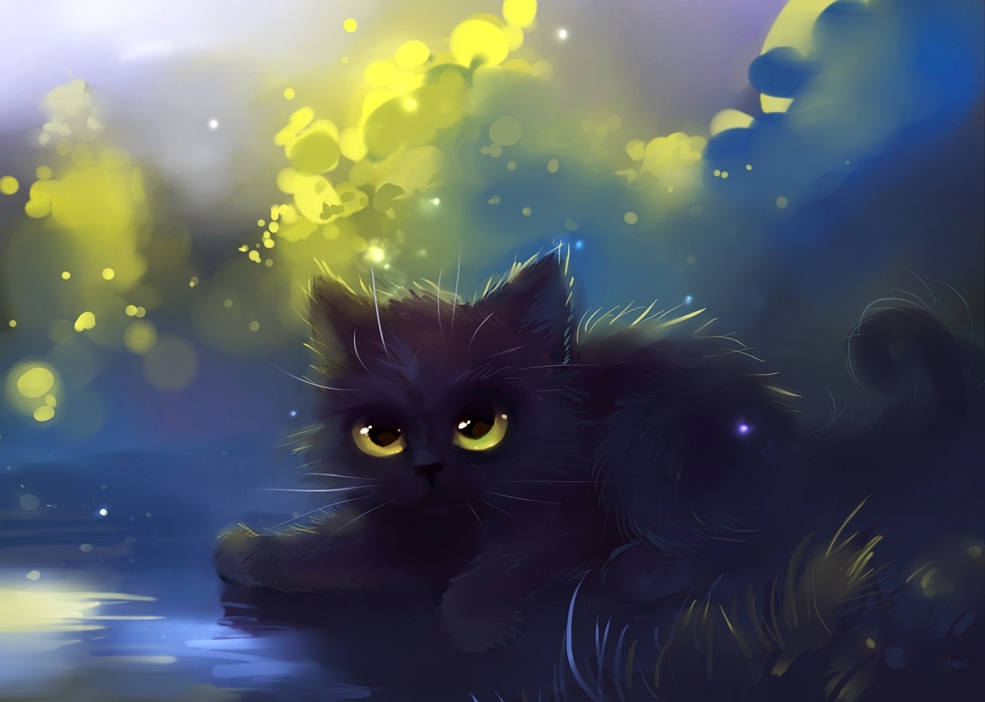 Anime Cute Black Cats , HD Wallpaper & Backgrounds