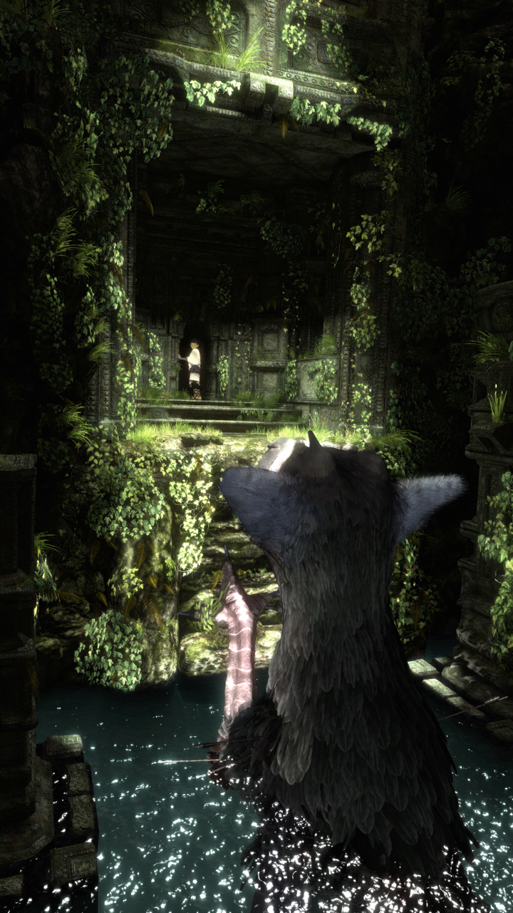 Last Guardian Trico Ref , HD Wallpaper & Backgrounds