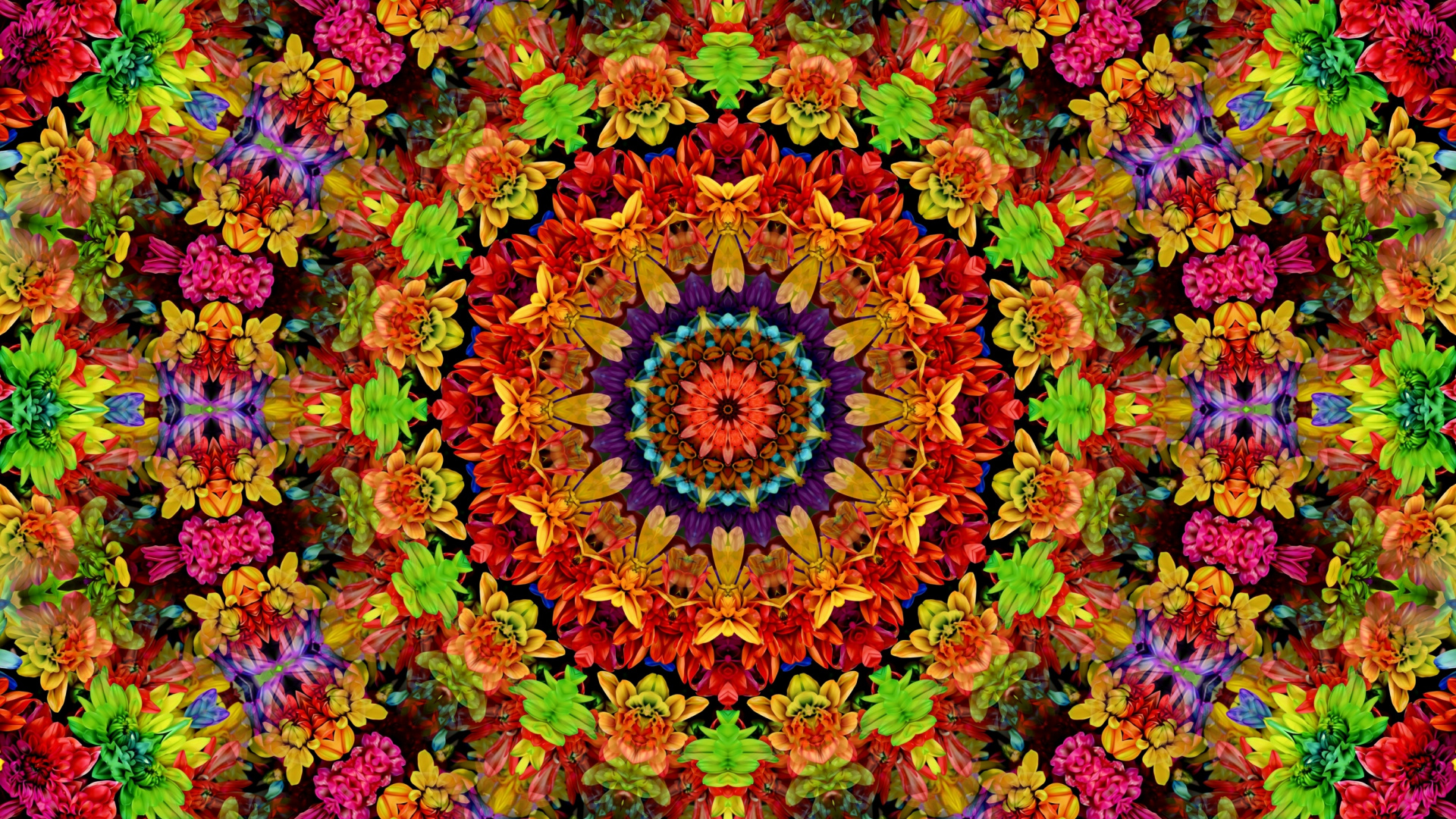 Wallpaper Fractal, Mandala, Flowers Pattern, Colorful - Wallpaper , HD Wallpaper & Backgrounds
