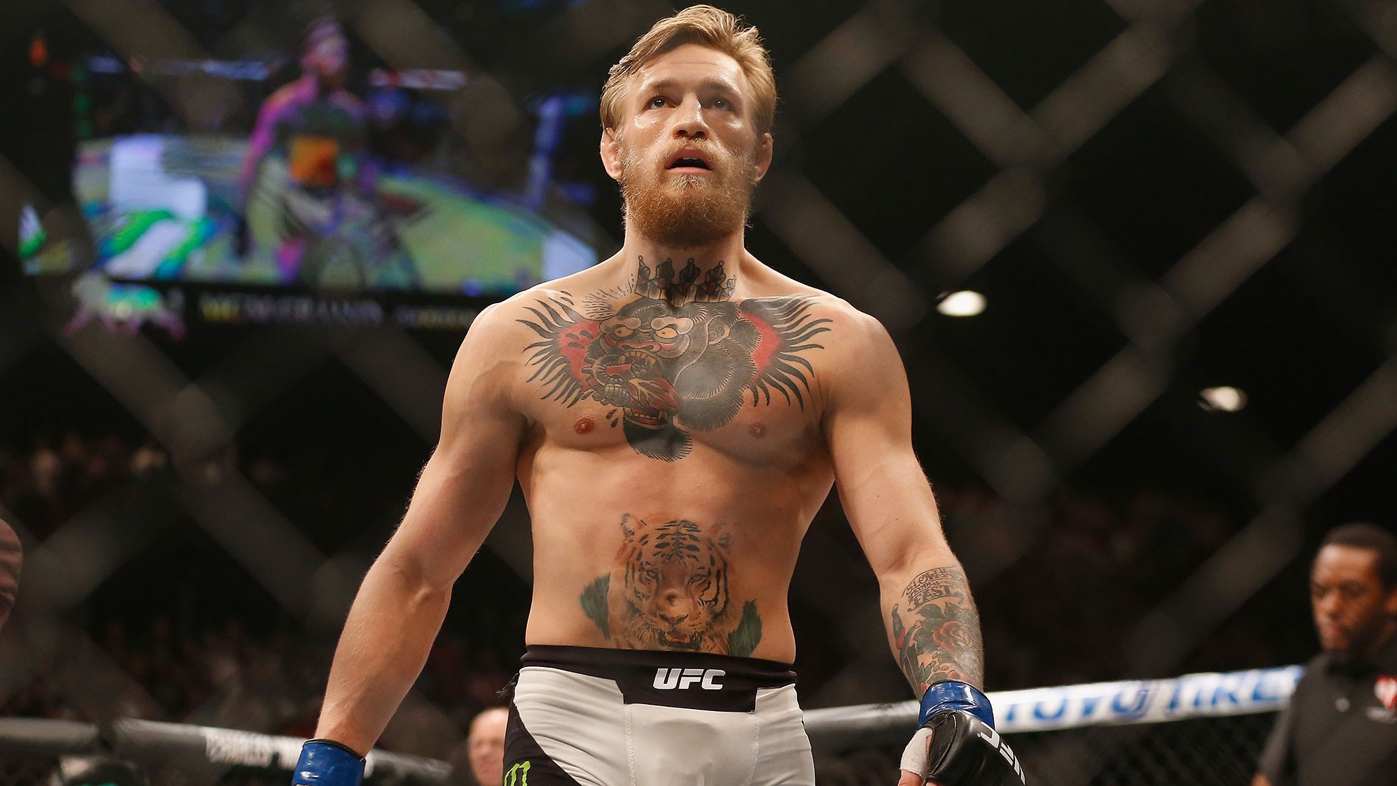 Conor Mcgregor Wallpapers Hq - Doesn T Conor Mcgregor Have Abs , HD Wallpaper & Backgrounds