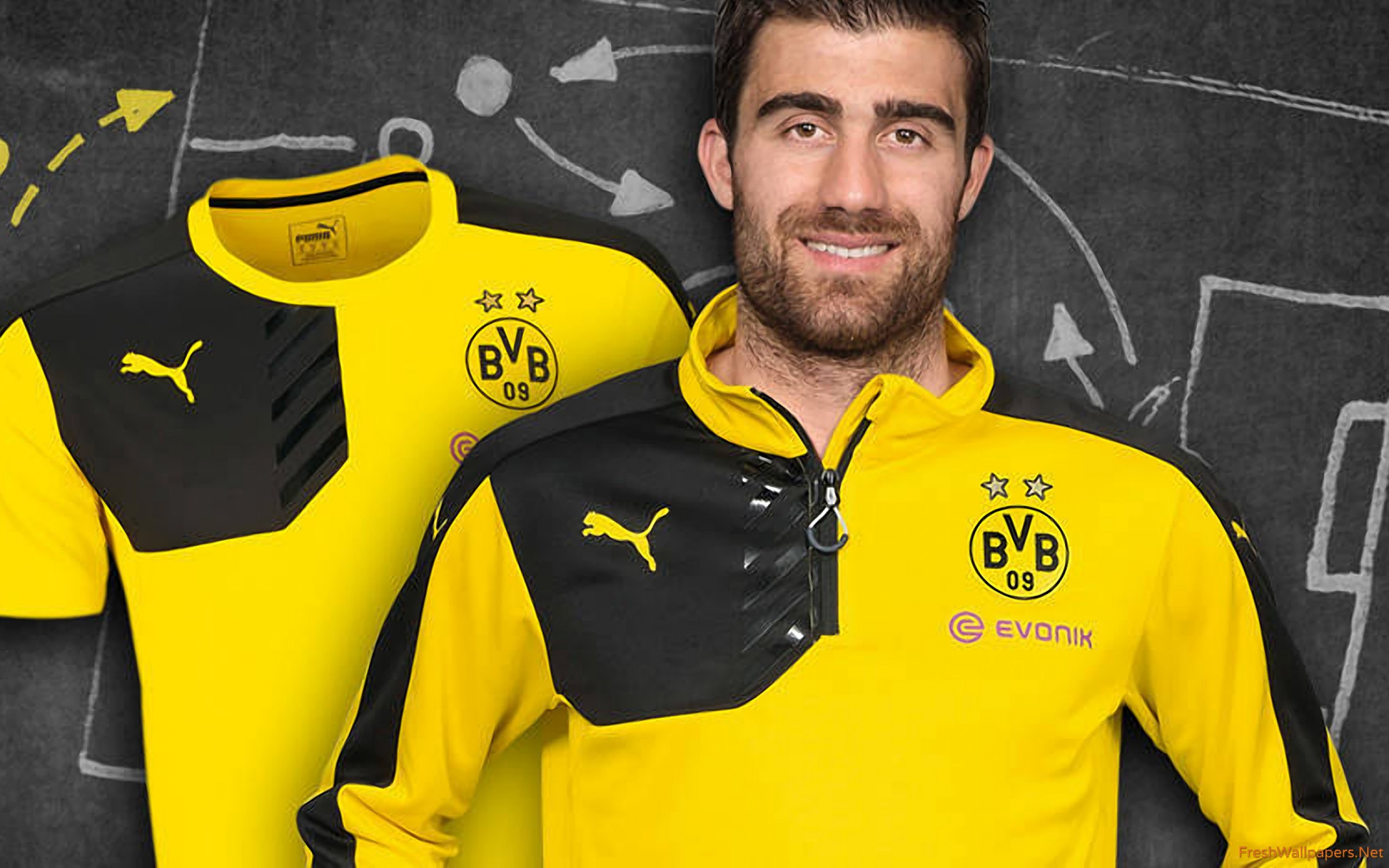 Borussia Dortmund 2015-2016 Puma Training Shirt Wallpaper - Bvb , HD Wallpaper & Backgrounds
