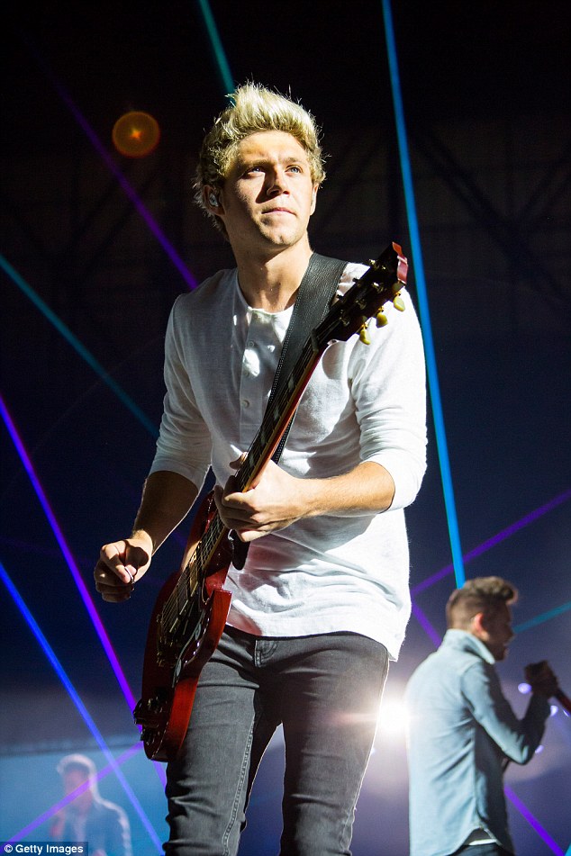 Niall Previously Revealed That The Eagles Have Influenced - Niall Horan 2016 Guitar , HD Wallpaper & Backgrounds