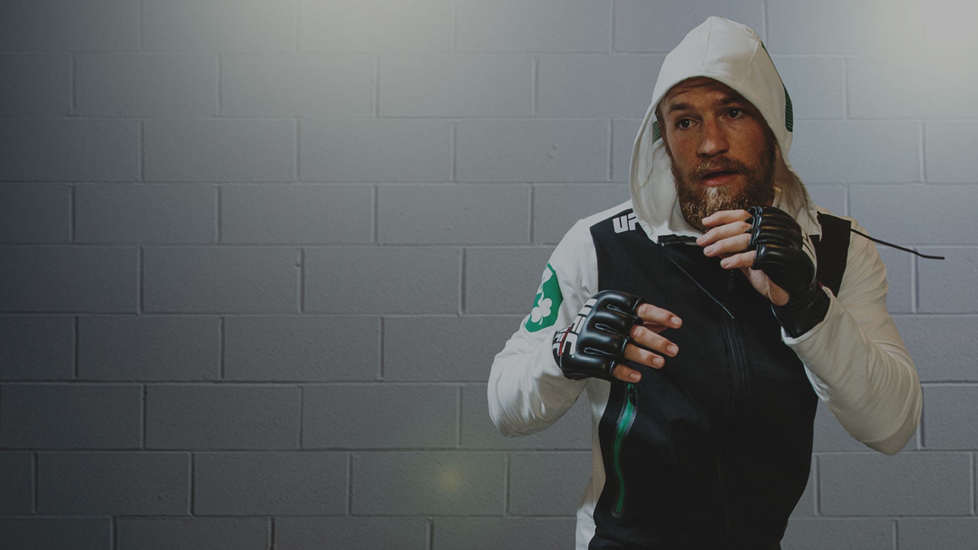 Conor Mcgregor Hd Background - Conor Mcgregor , HD Wallpaper & Backgrounds