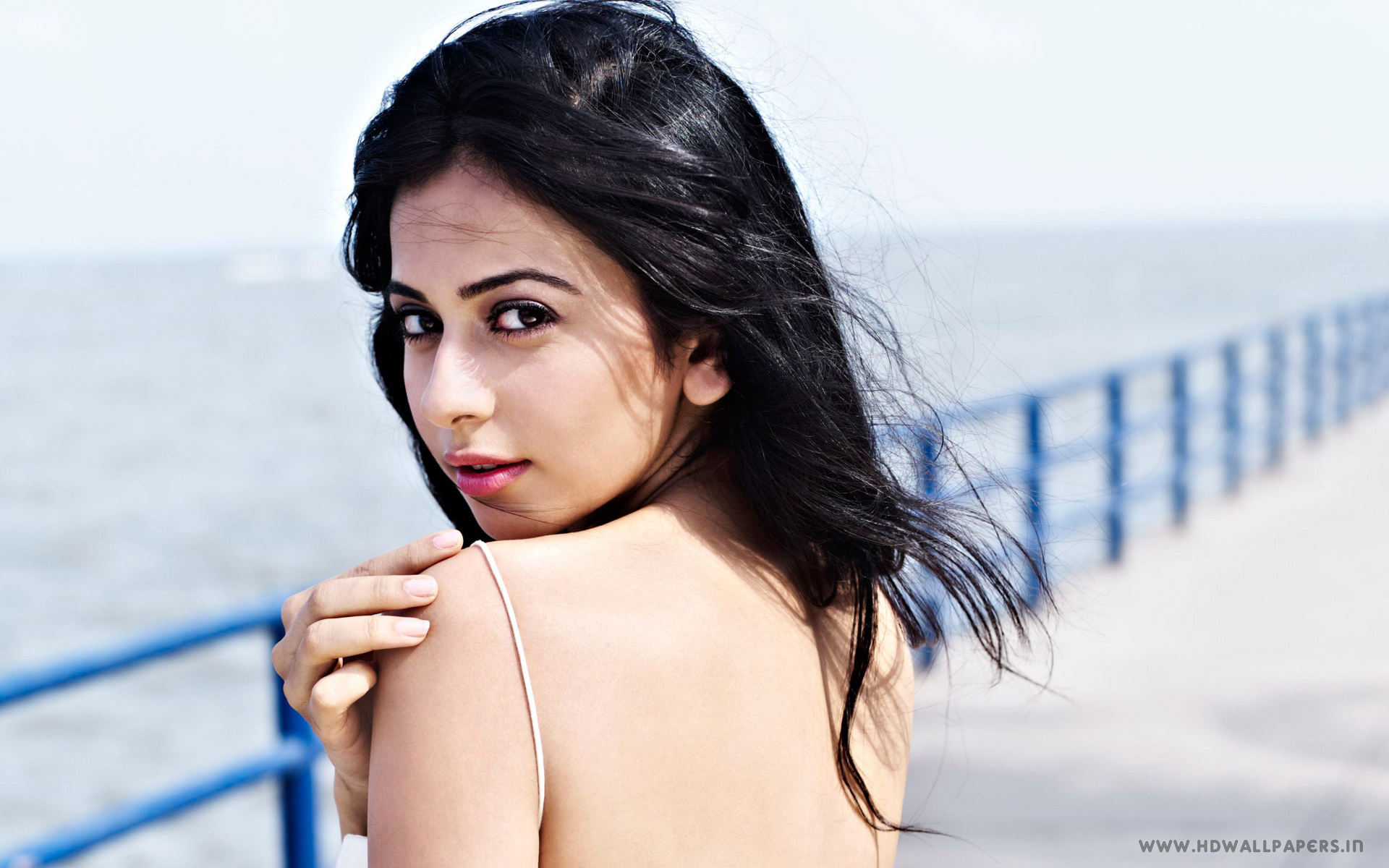 Rakul Preet Singh - 1080p Rakul Preet Singh Images Hd , HD Wallpaper & Backgrounds