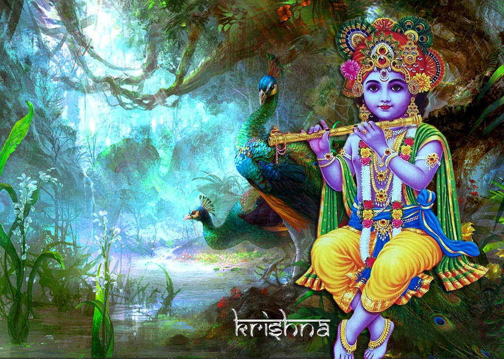 Lord Krishna Hd Wallpapers - Peacock Dance In Rainy Season , HD Wallpaper & Backgrounds