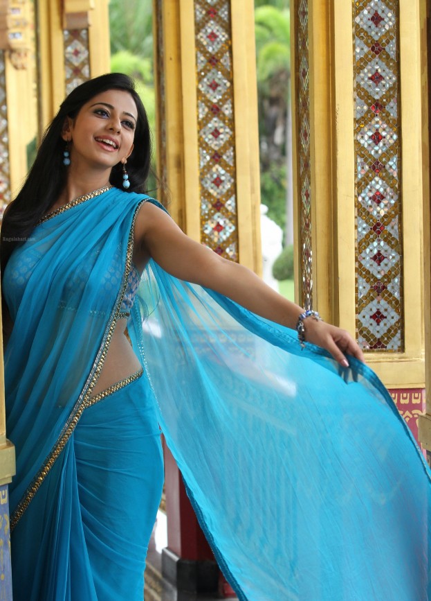 Rakul Preet Singh Wallpapers - Rakul Preet Beauty Saree , HD Wallpaper & Backgrounds