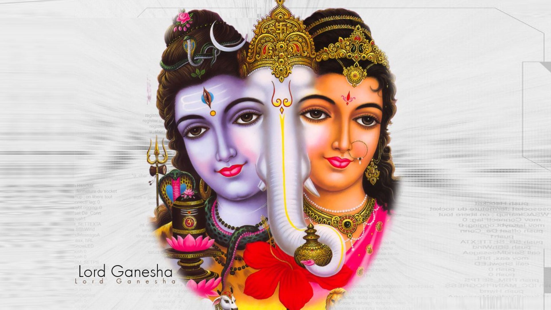 Cute Lord Ganesha Images Hindu Gods And Goddesses - Ganpati Bappa With Shiv , HD Wallpaper & Backgrounds