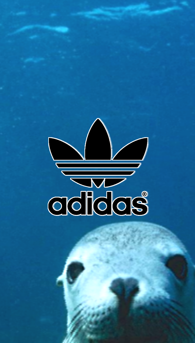 Adidas Originals , HD Wallpaper & Backgrounds