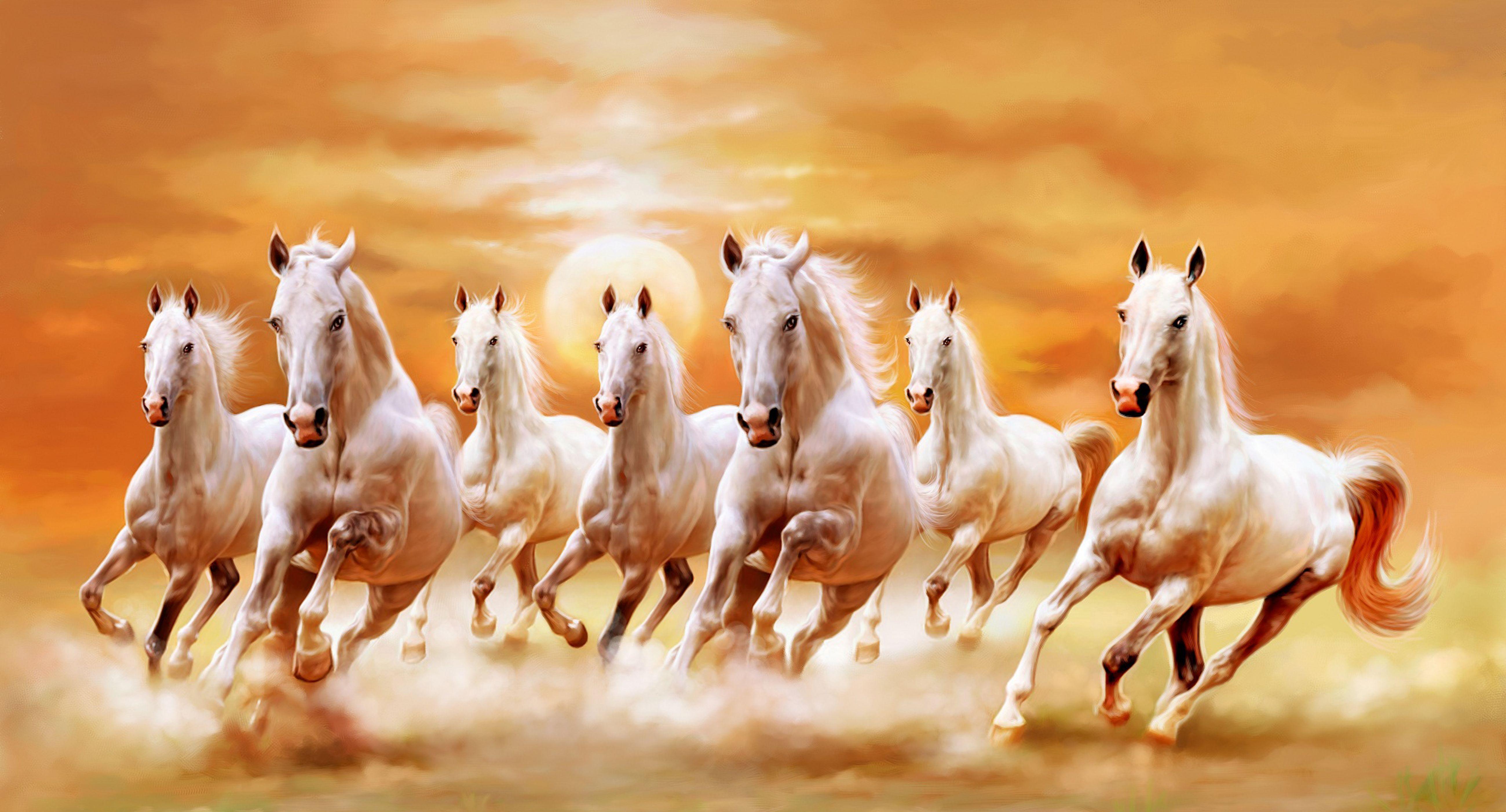 Beautiful White Horses - 7 White Horses Running , HD Wallpaper & Backgrounds