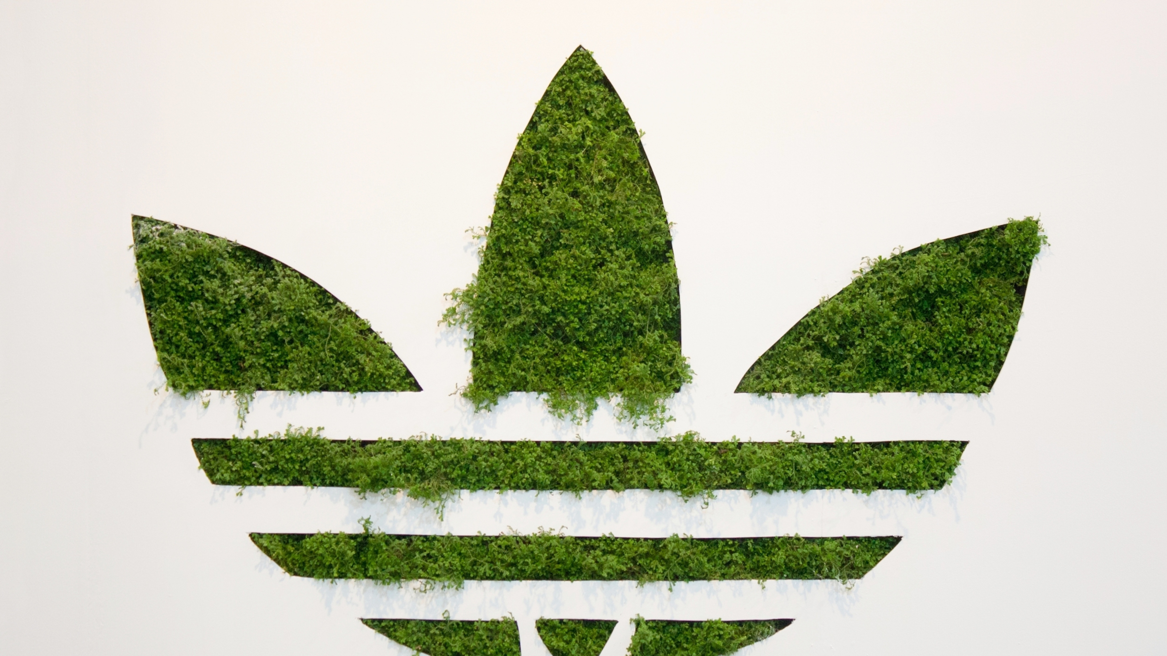 Adidas Grass Logo - Iphone Xr Wallpaper Adidas , HD Wallpaper & Backgrounds