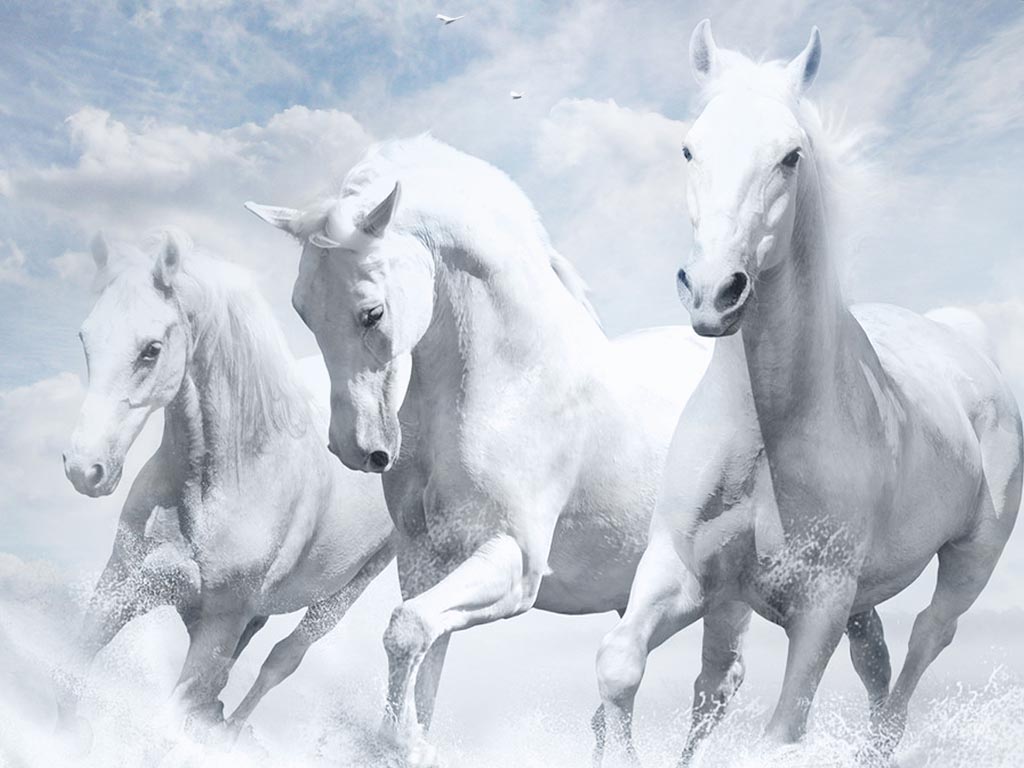 White Horses In The Sky , HD Wallpaper & Backgrounds