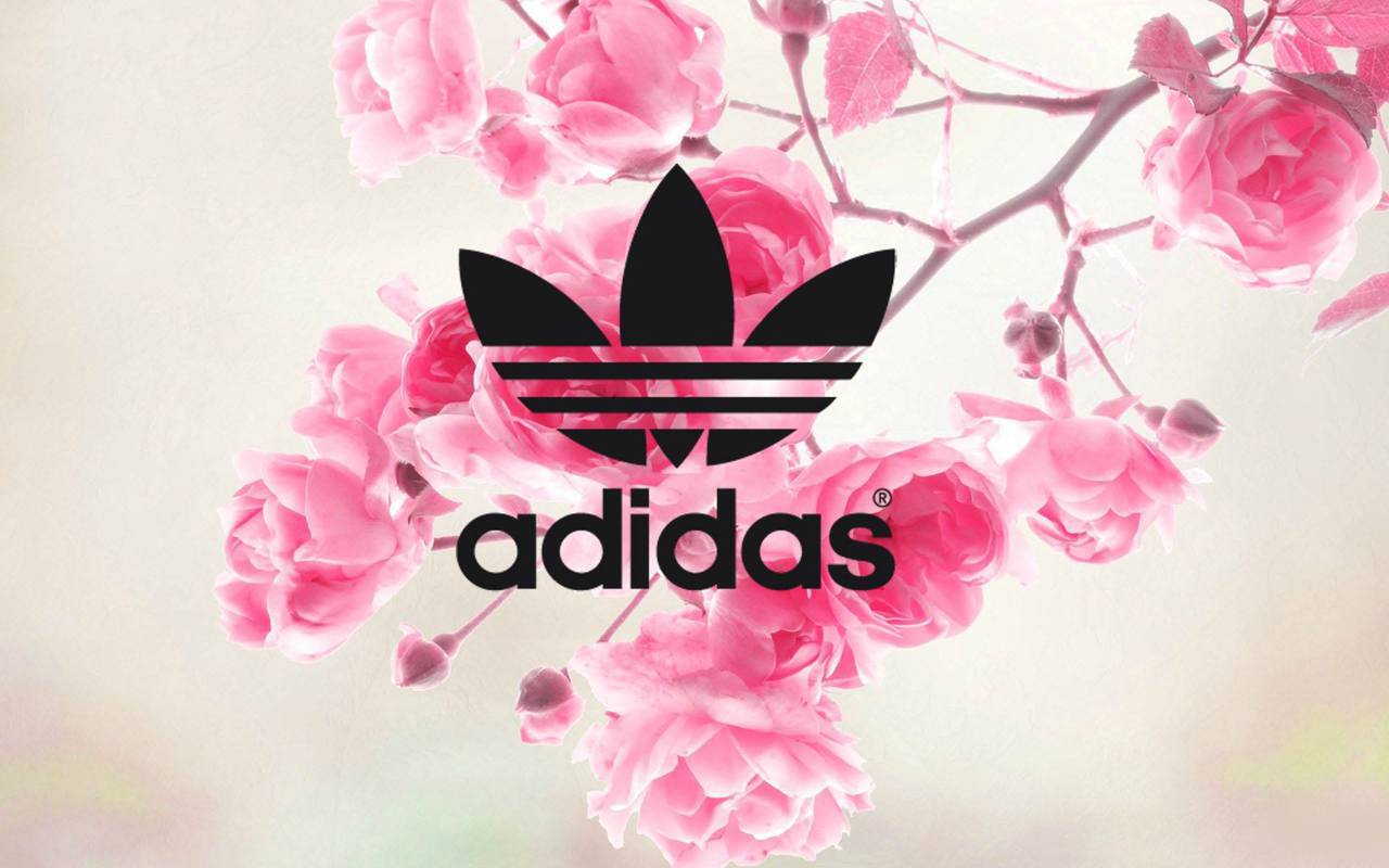 adidas rose wallpaper