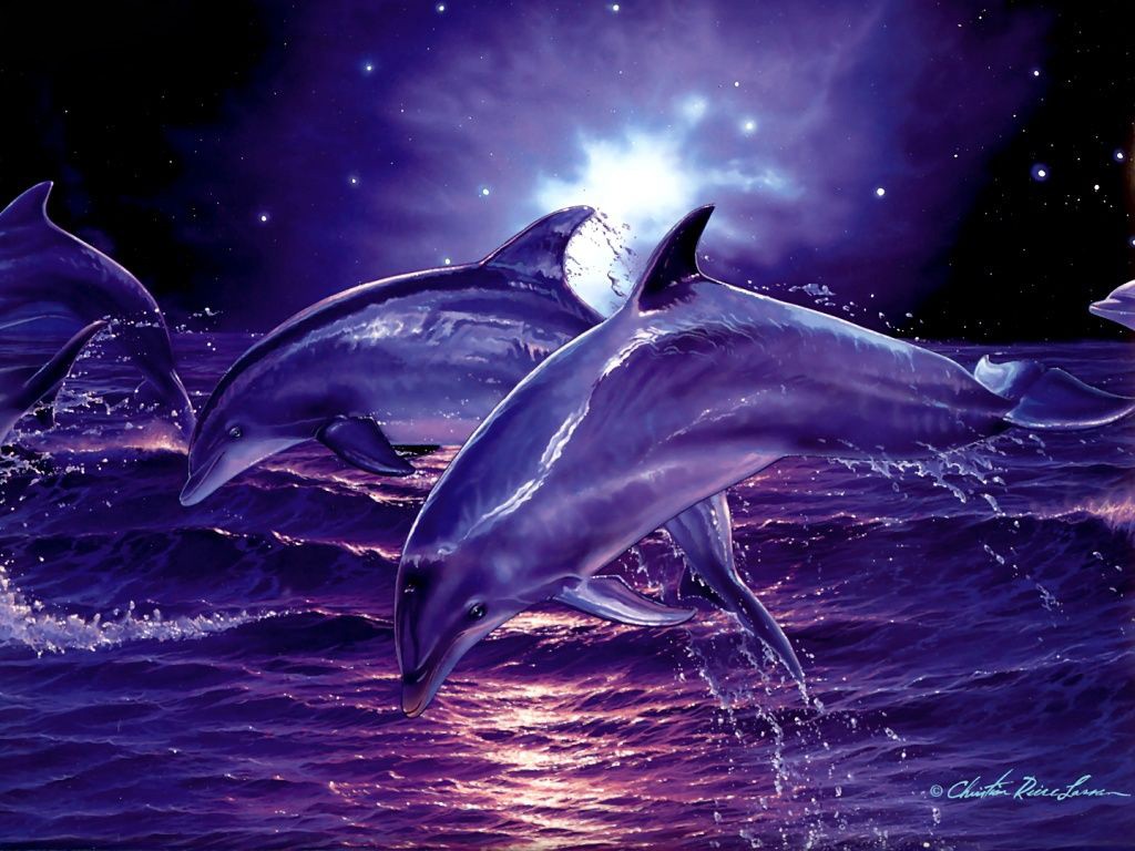 Wallpapers En Movimiento 3d - Cute Dolphins Wallpaper In 3d , HD Wallpaper & Backgrounds