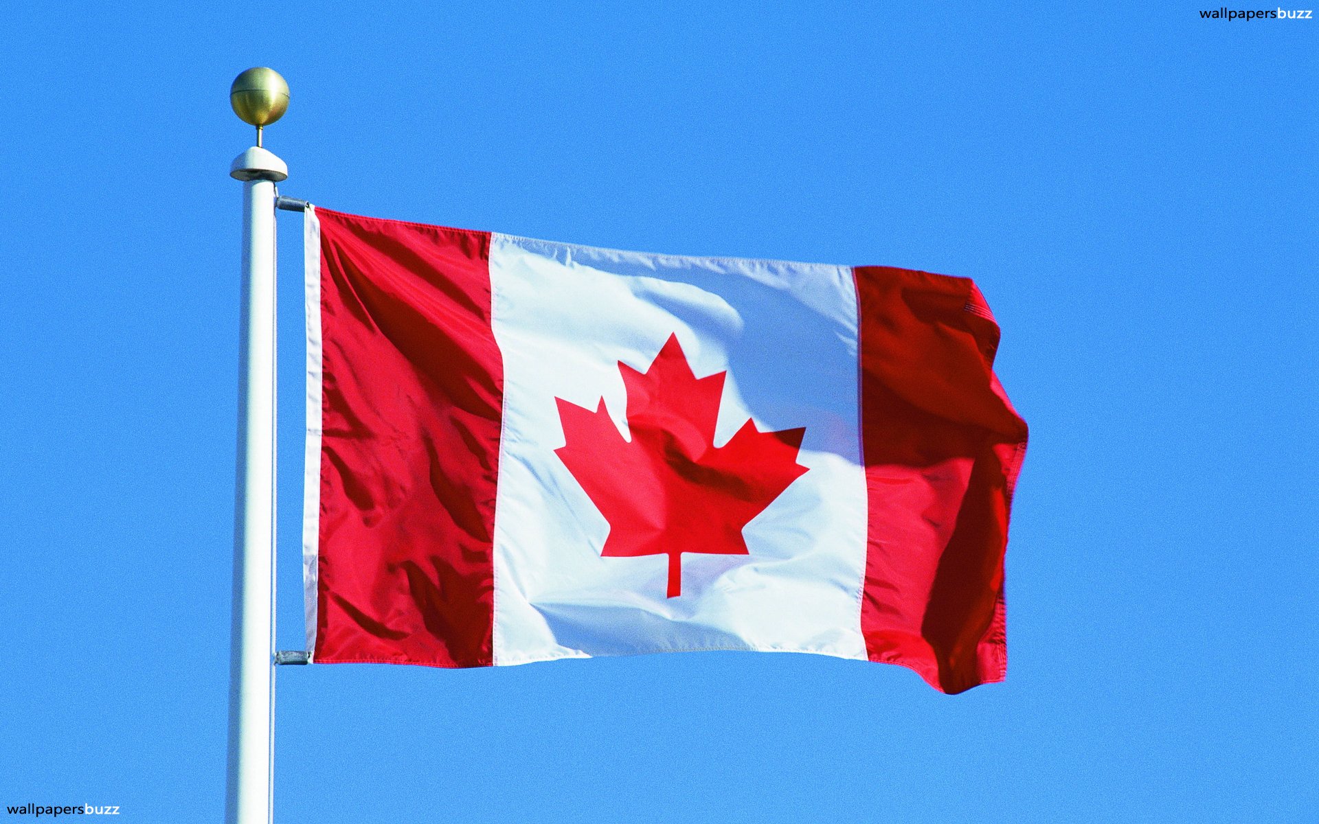 Papel De Parede Para Celular Da Bandeira Do Canada , HD Wallpaper & Backgrounds