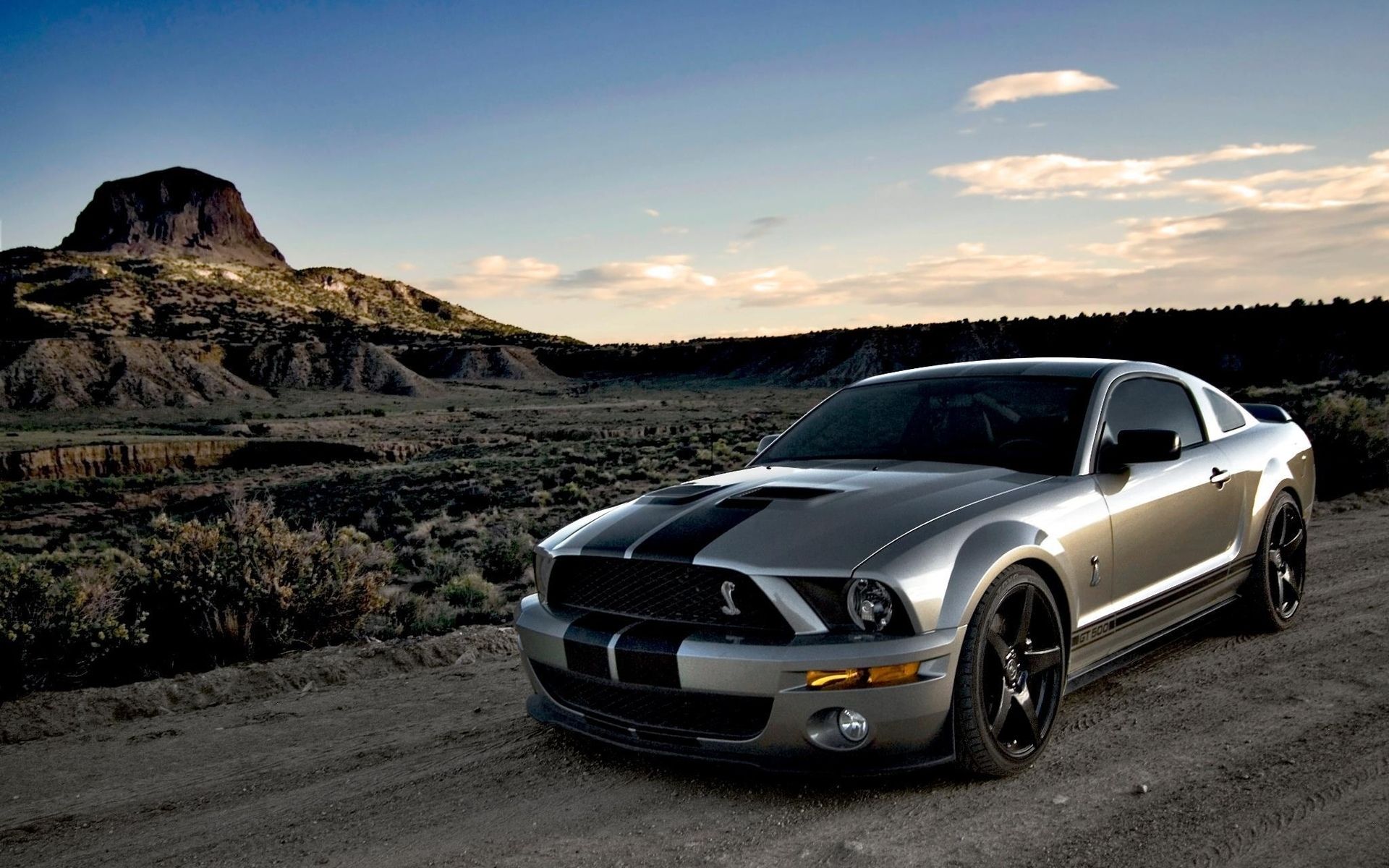 Mustang Hd Wallpaper - Hd Wallpaper Mustang , HD Wallpaper & Backgrounds