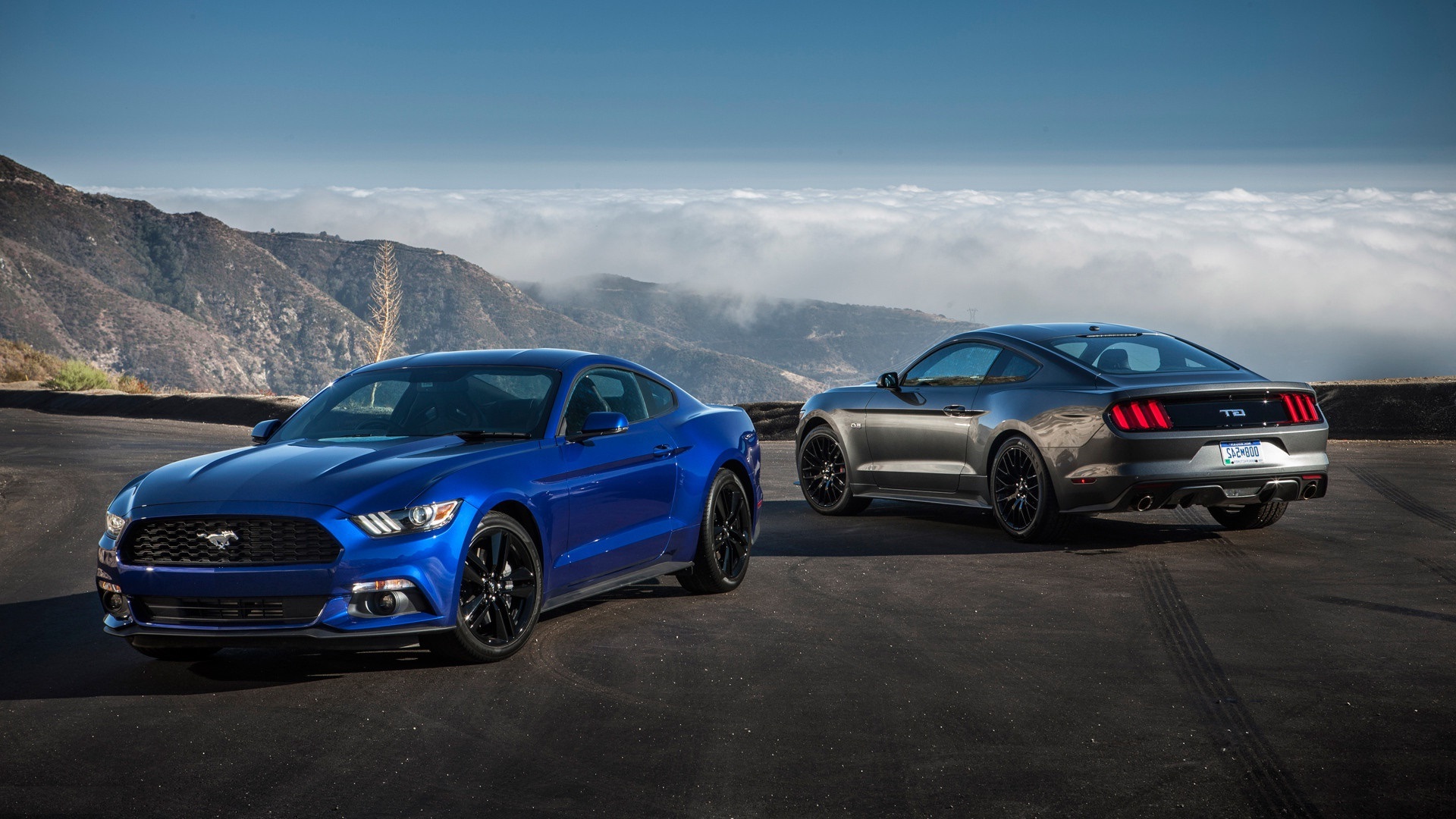 Hd Ford Boss Mustang Wallpapers Images Ford Mustang - Shelby Mustang , HD Wallpaper & Backgrounds