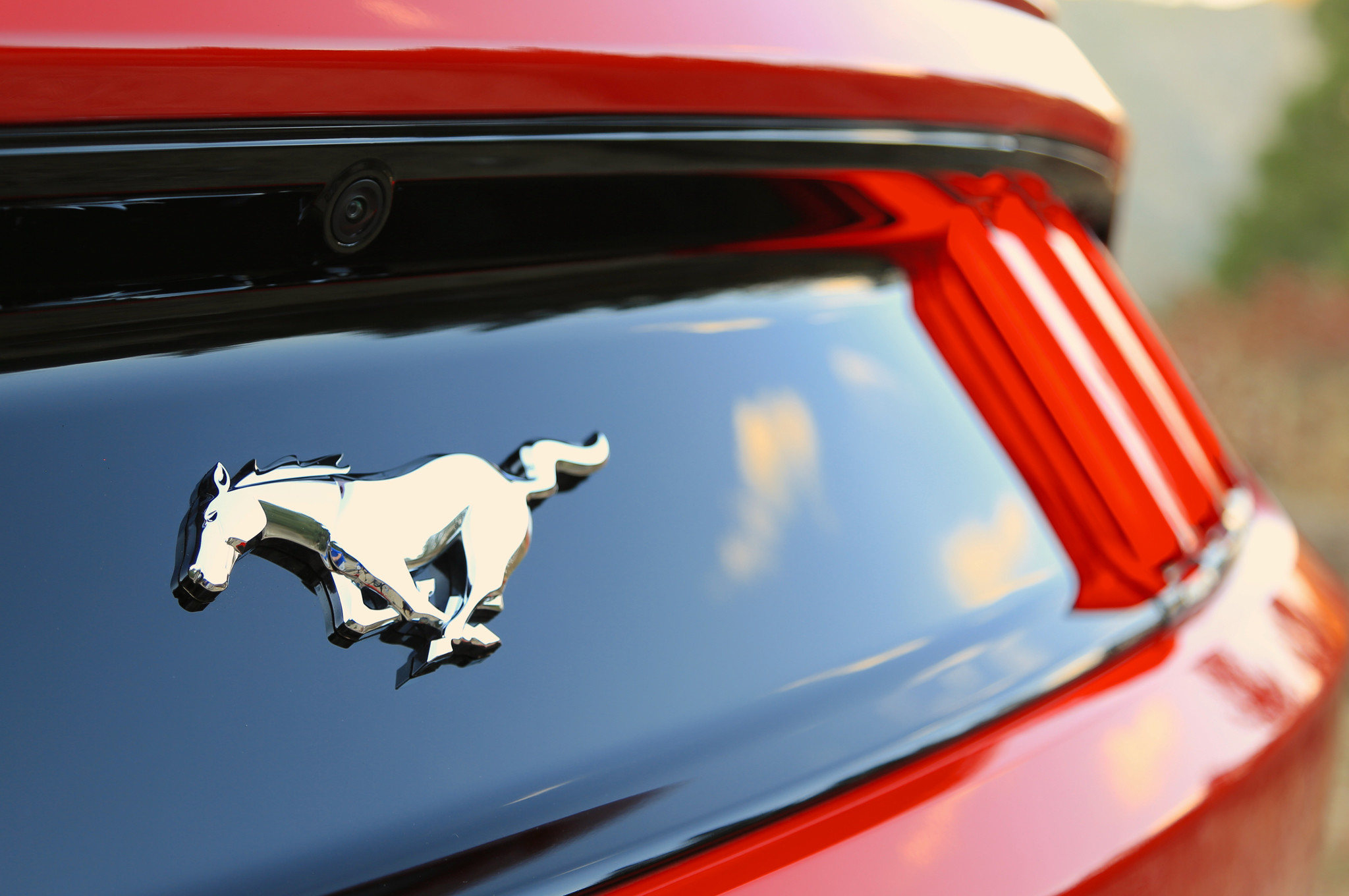 Ford Mustang Logo Wallpapers - Ford Mustang Logo Wallpaper Hd , HD Wallpaper & Backgrounds