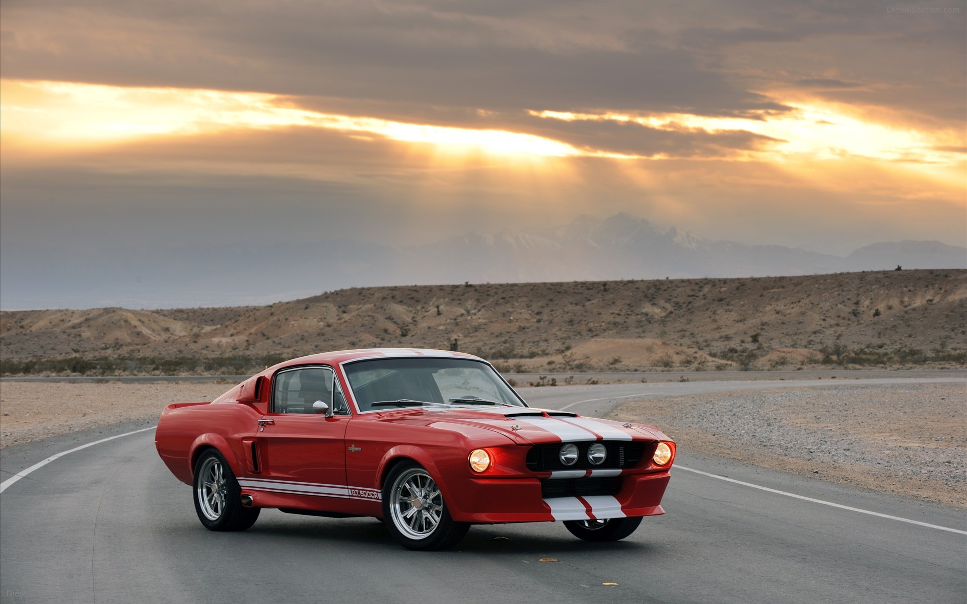 Wallpapers Mustang - Shelby Gt 500 , HD Wallpaper & Backgrounds