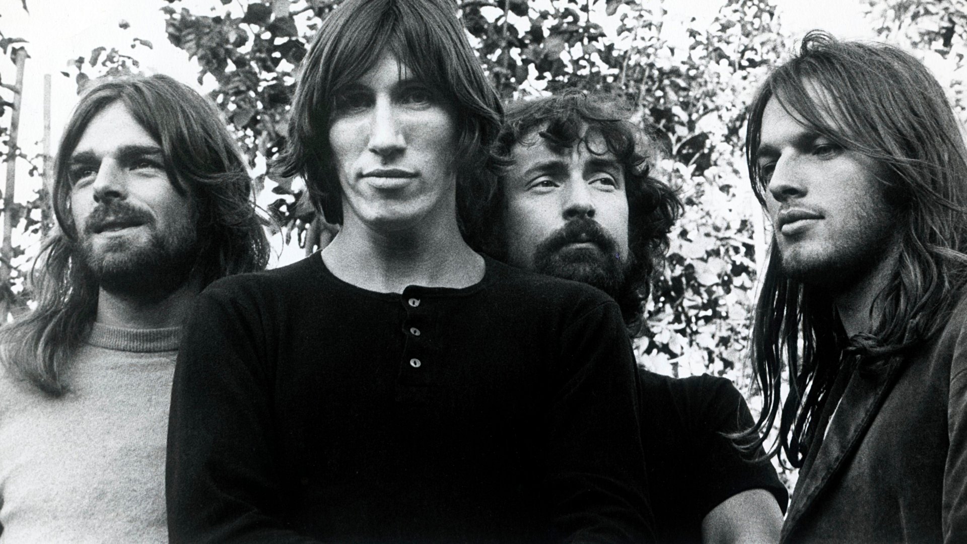Pink Floyd Band Members Wallpaper Dsotm Era - Pink Floyd High Quality , HD Wallpaper & Backgrounds
