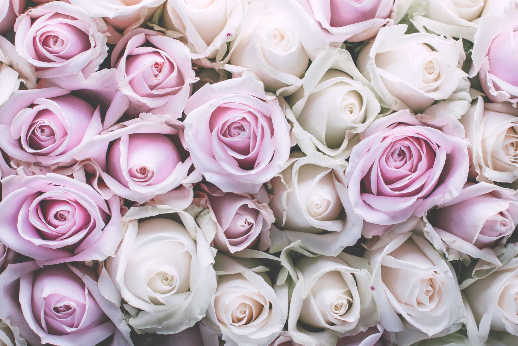 Vintage Floral Iphone Wallpaper Collection - Android Application Package , HD Wallpaper & Backgrounds
