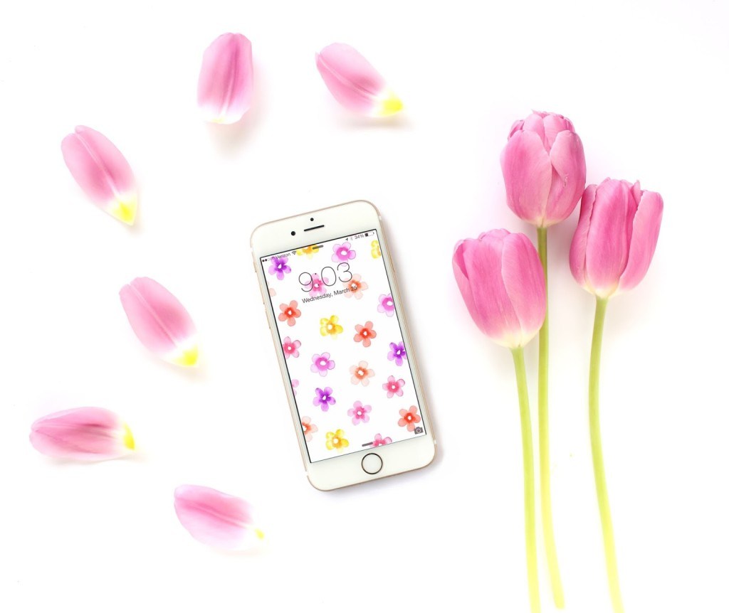 24 Free Spring Wallpapers & Backgrounds - Flower Free Wallpaper Iphone , HD Wallpaper & Backgrounds