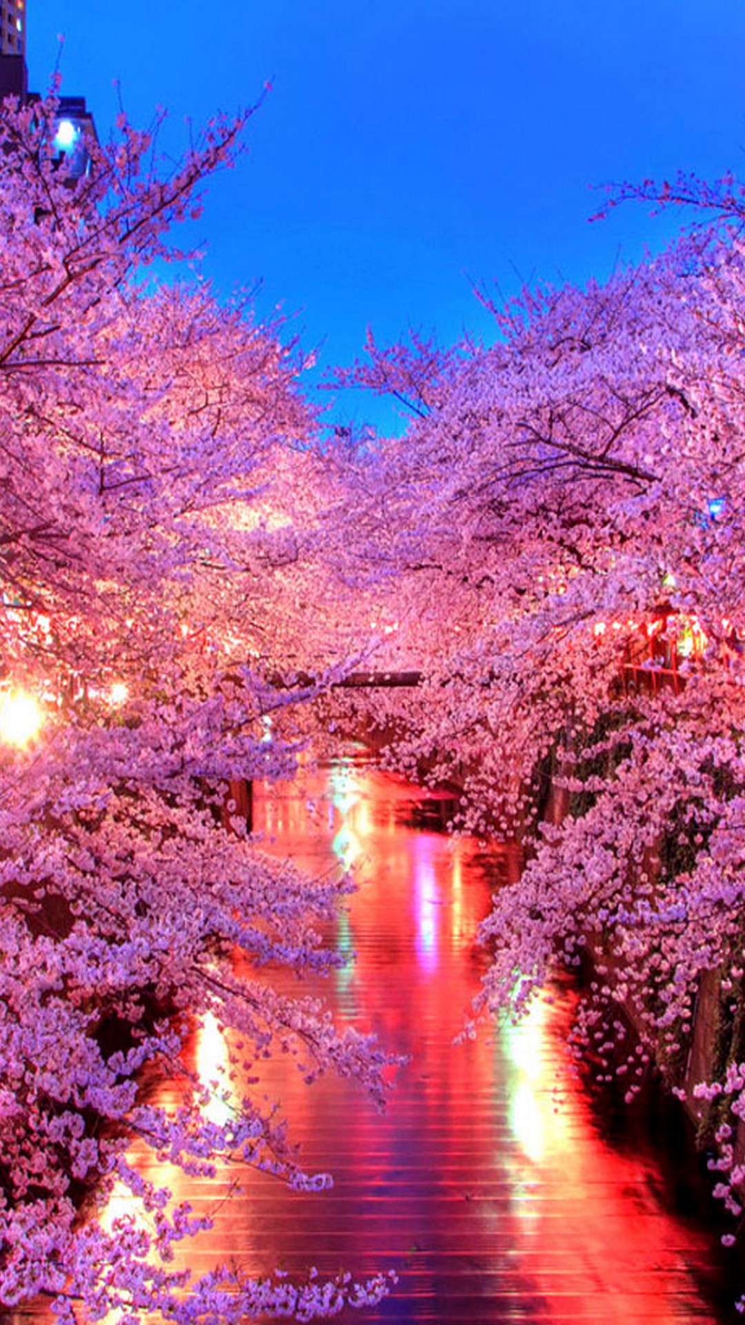 Start Download - Spring In Japan , HD Wallpaper & Backgrounds