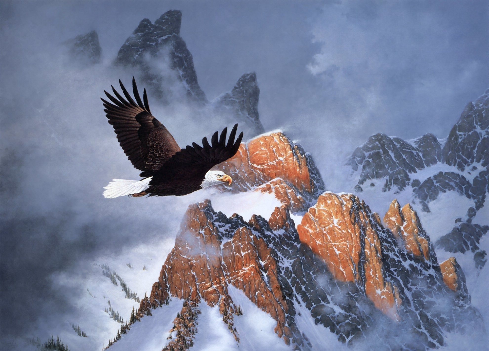 Eagles Wallpaper Hd Flying Eagle Hd Wallpapers Eagle - Eagles In The Mountains , HD Wallpaper & Backgrounds