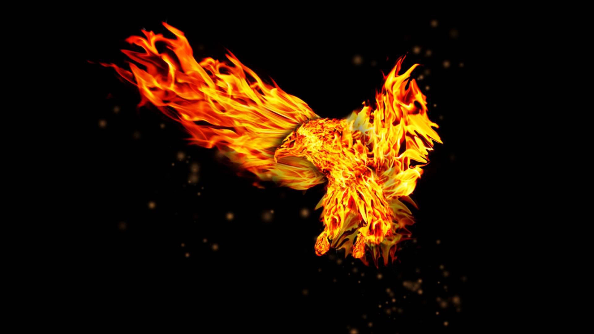 Fire Eagle Wallpaper Hd , HD Wallpaper & Backgrounds