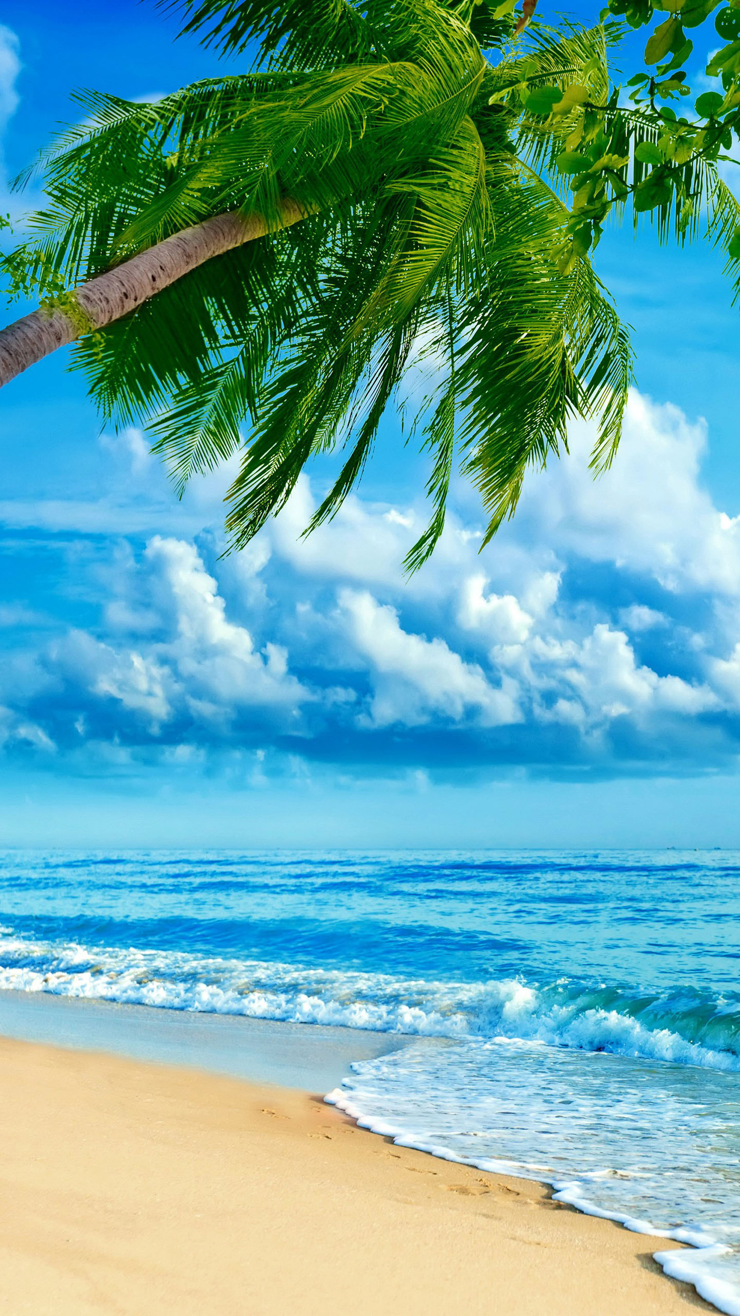 Tropics Coast Sea Palma Clouds Nature - Papel De Parede Para Celular Praia Hd , HD Wallpaper & Backgrounds