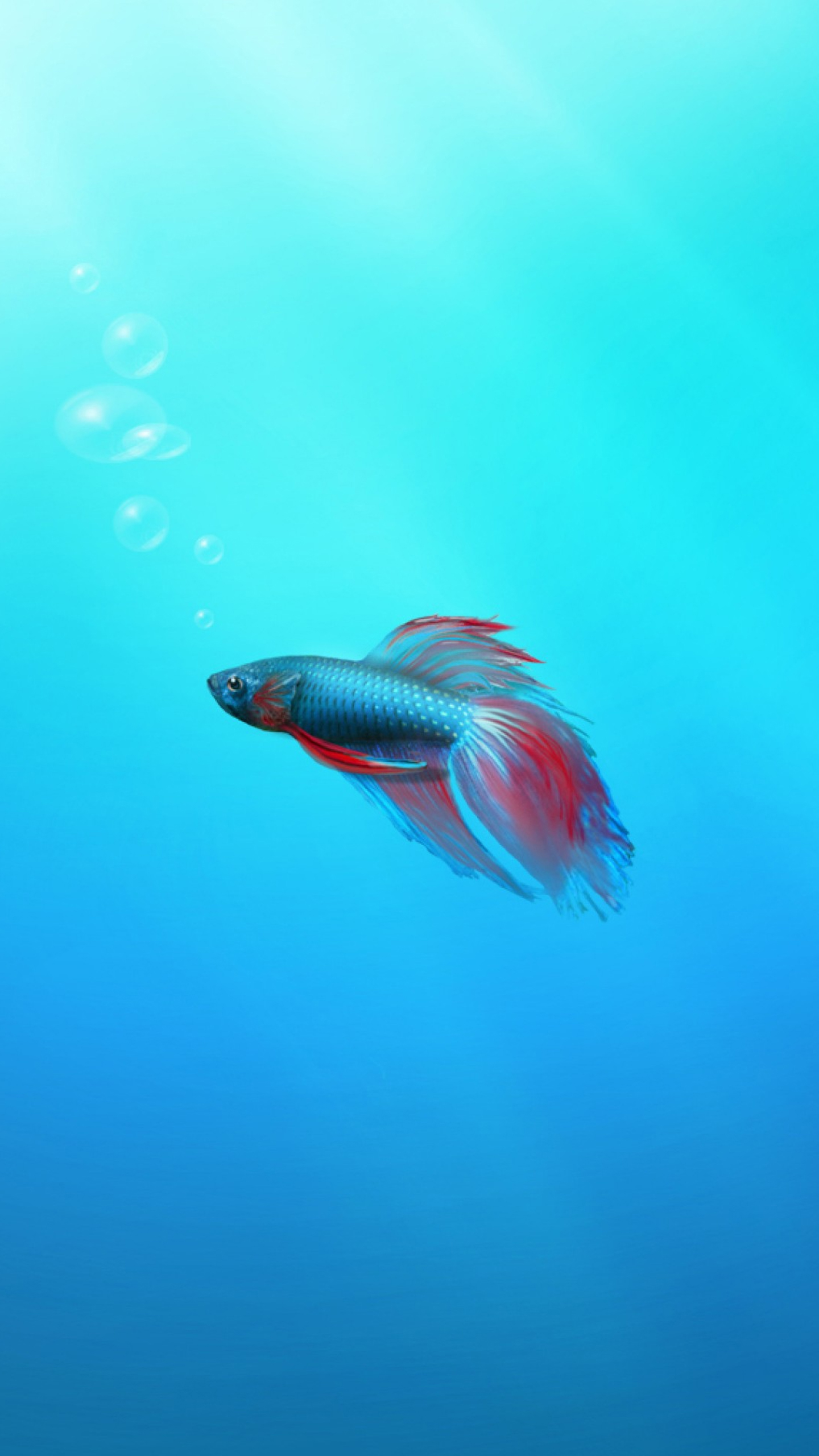 Windows 7 Beta Fish , HD Wallpaper & Backgrounds