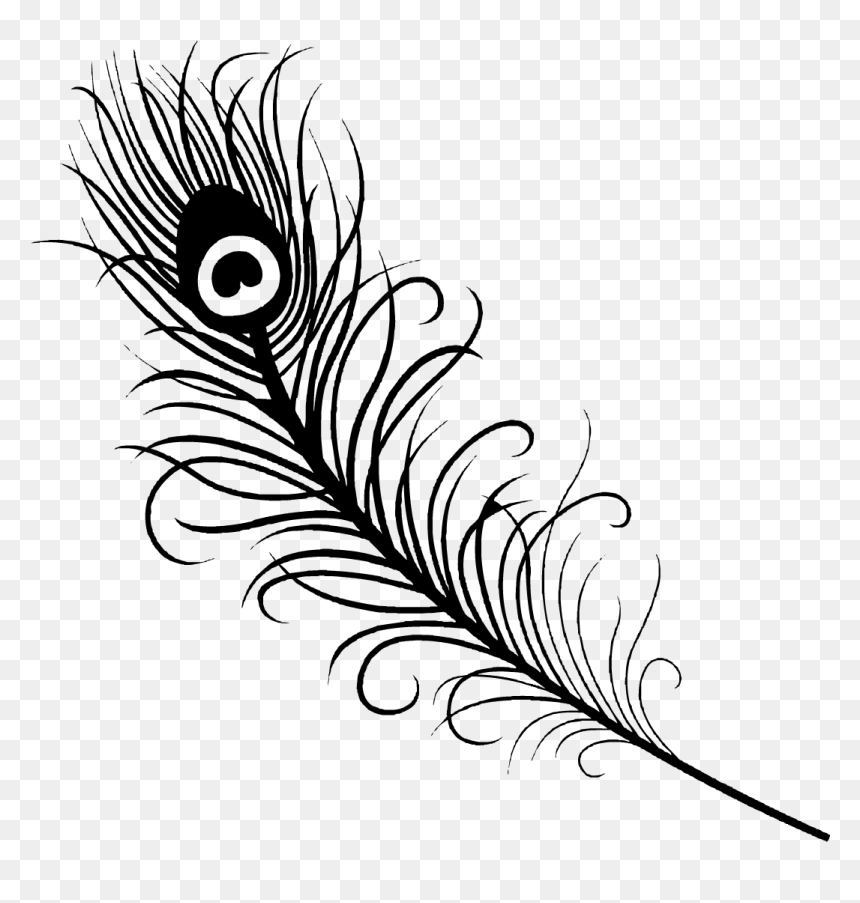 Peacock Feather Vector Png, Transparent Png - Easy Peacock Feather Drawing , HD Wallpaper & Backgrounds