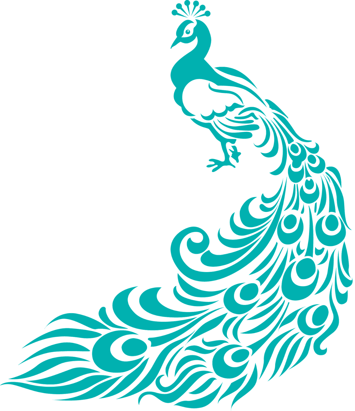 Designer Vector Simple - Peacock Line Drawing , HD Wallpaper & Backgrounds