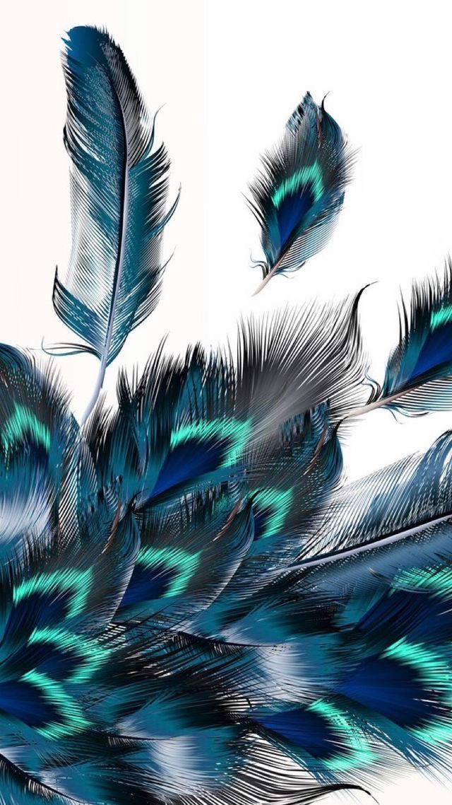 Beautiful Feathers , HD Wallpaper & Backgrounds