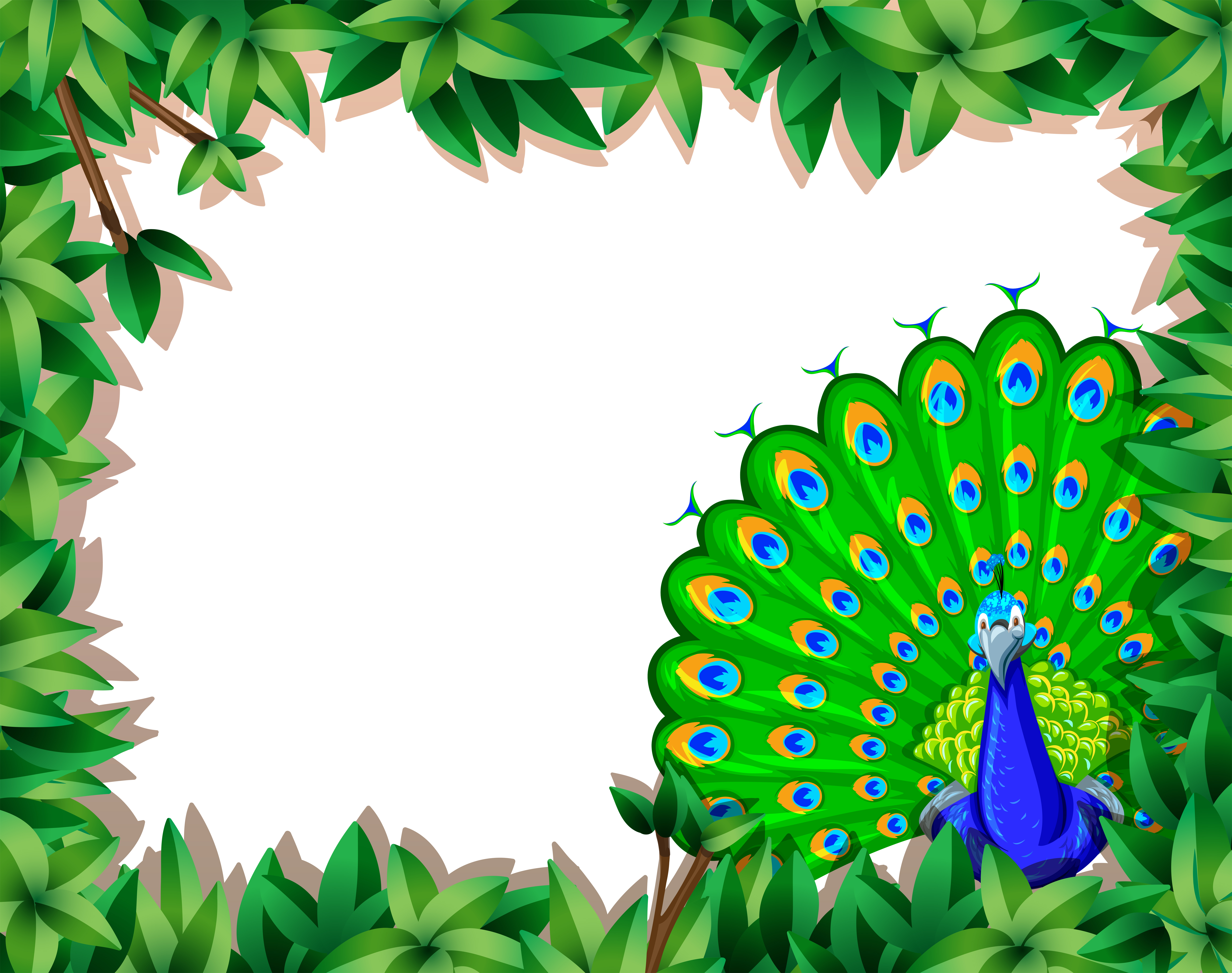 Peacock Border Designs , HD Wallpaper & Backgrounds