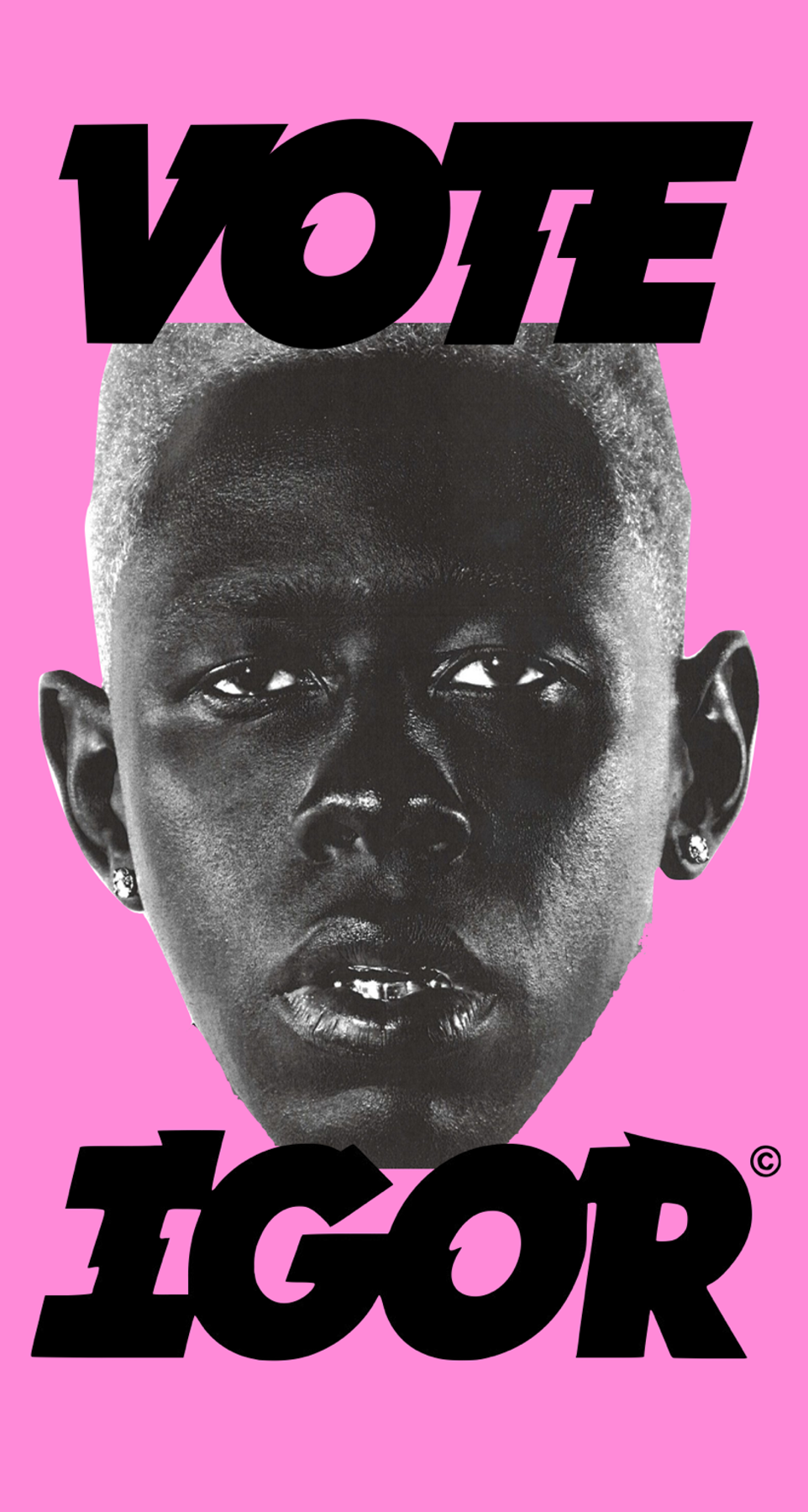 Tyler The Creator Vote Igor Poster , HD Wallpaper & Backgrounds