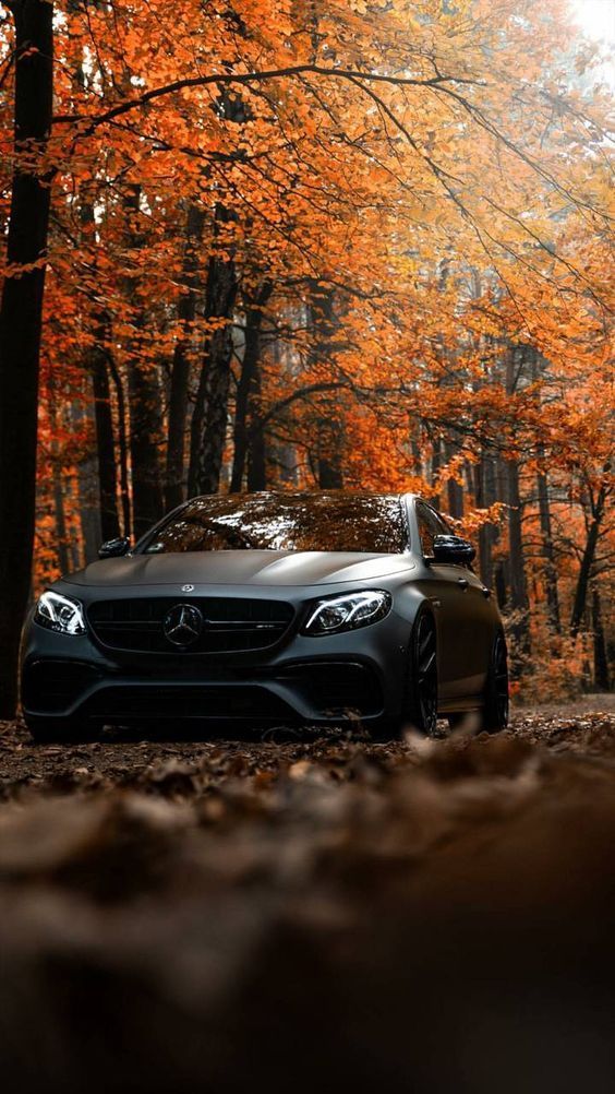 Benz Car In Forest , HD Wallpaper & Backgrounds