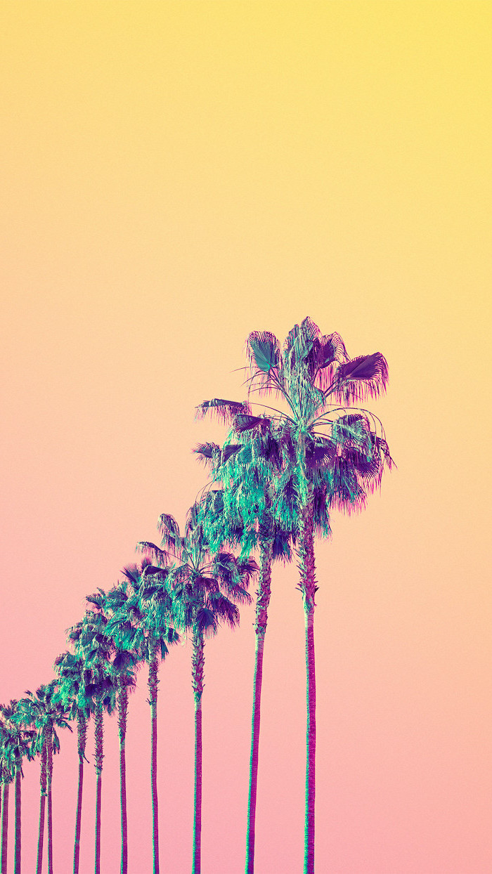 Tree, Green, Sky, Pink, Palm Tree, Purple, Iphone Wallpaper - Palm Trees Background Aesthetic , HD Wallpaper & Backgrounds