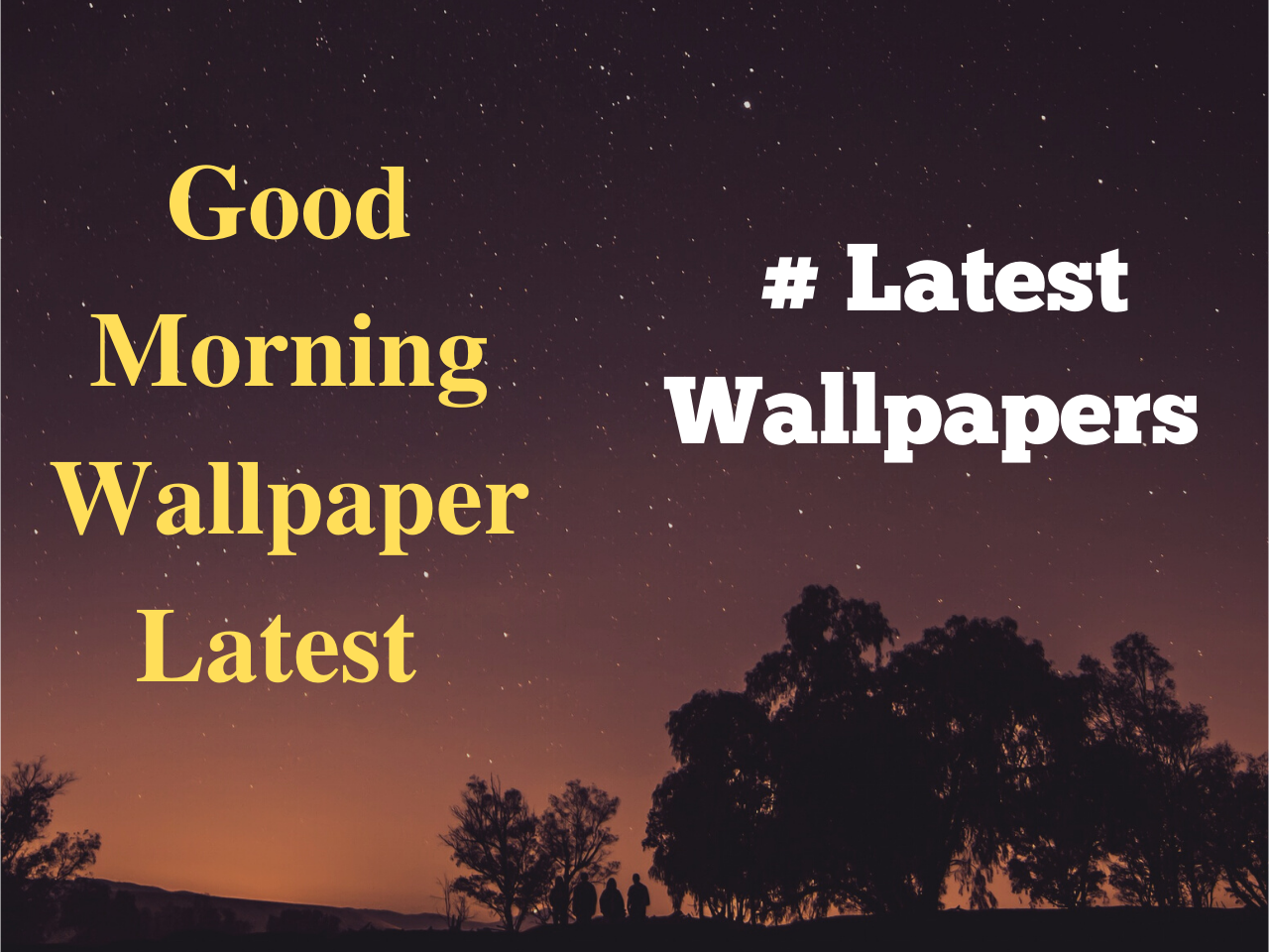 Good Morning Wallpaper Latest - Tree , HD Wallpaper & Backgrounds