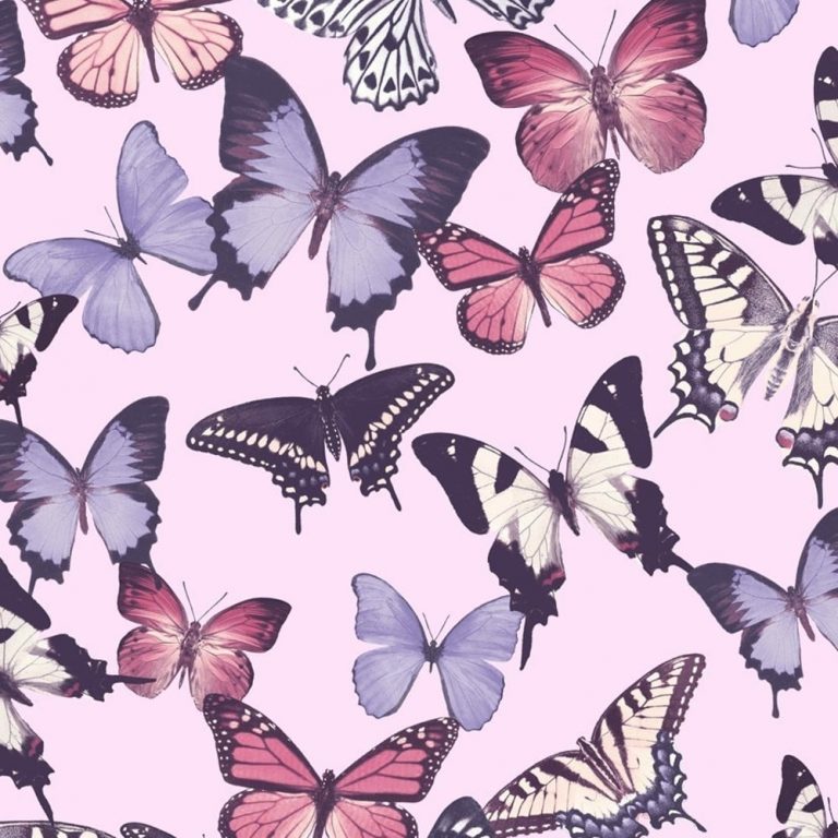 Butterfly Wallpaper - Butterfly Pattern , HD Wallpaper & Backgrounds