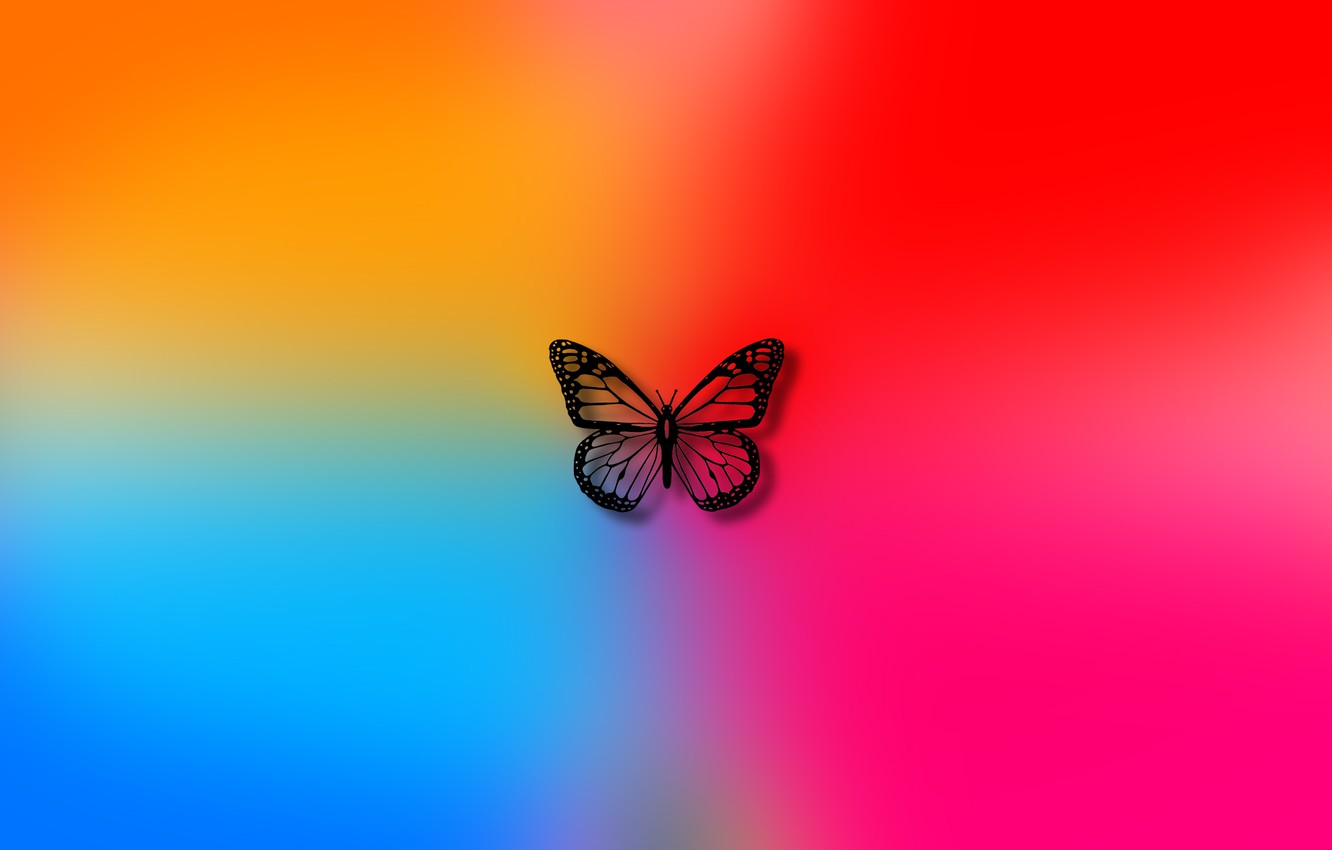 Photo Wallpaper Color, Background, Butterfly, Colors, - Butterfly With Color Background , HD Wallpaper & Backgrounds