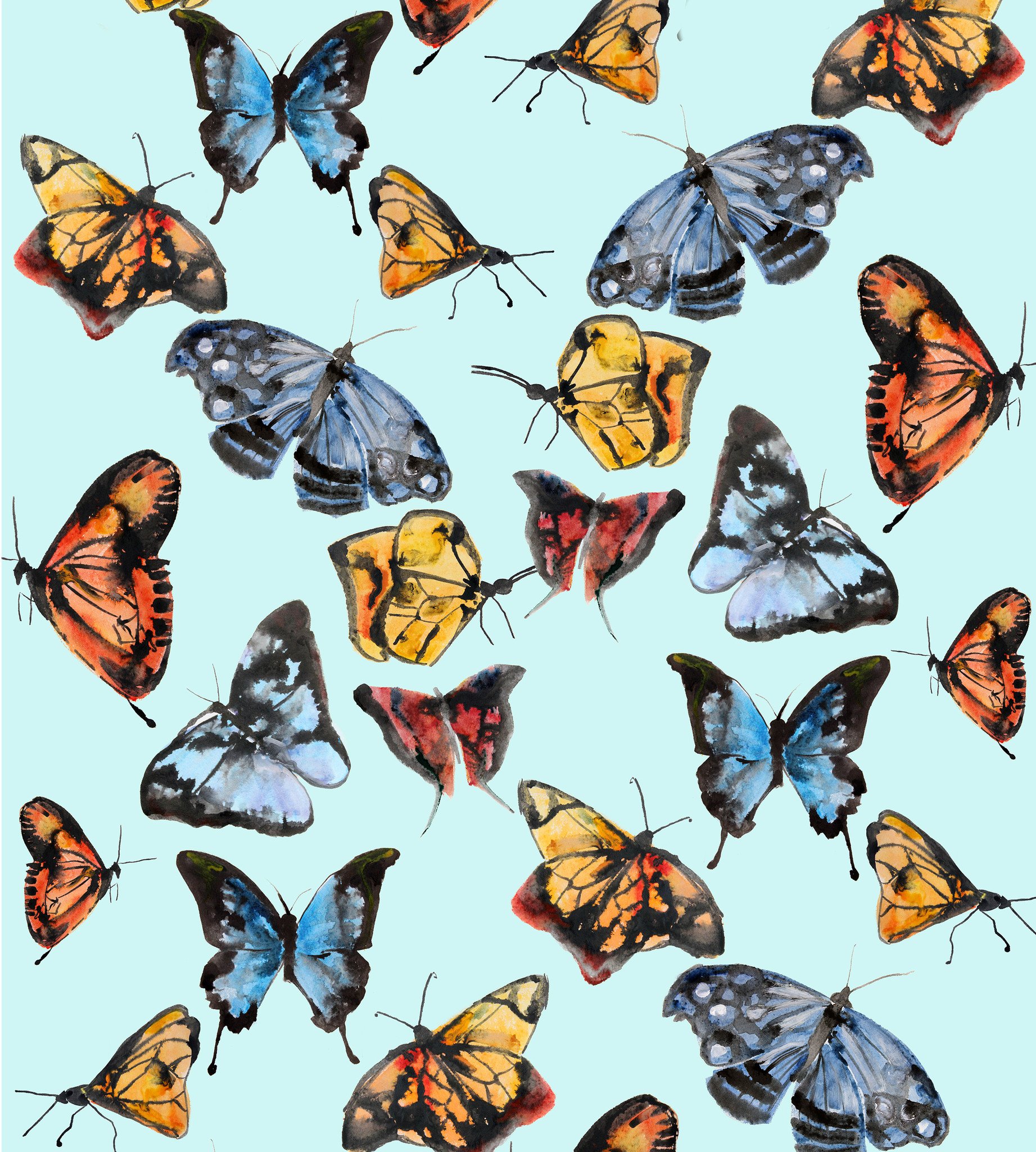 Butterflies On Tiffany Blue Wallpaper - One Kings Lane , HD Wallpaper & Backgrounds