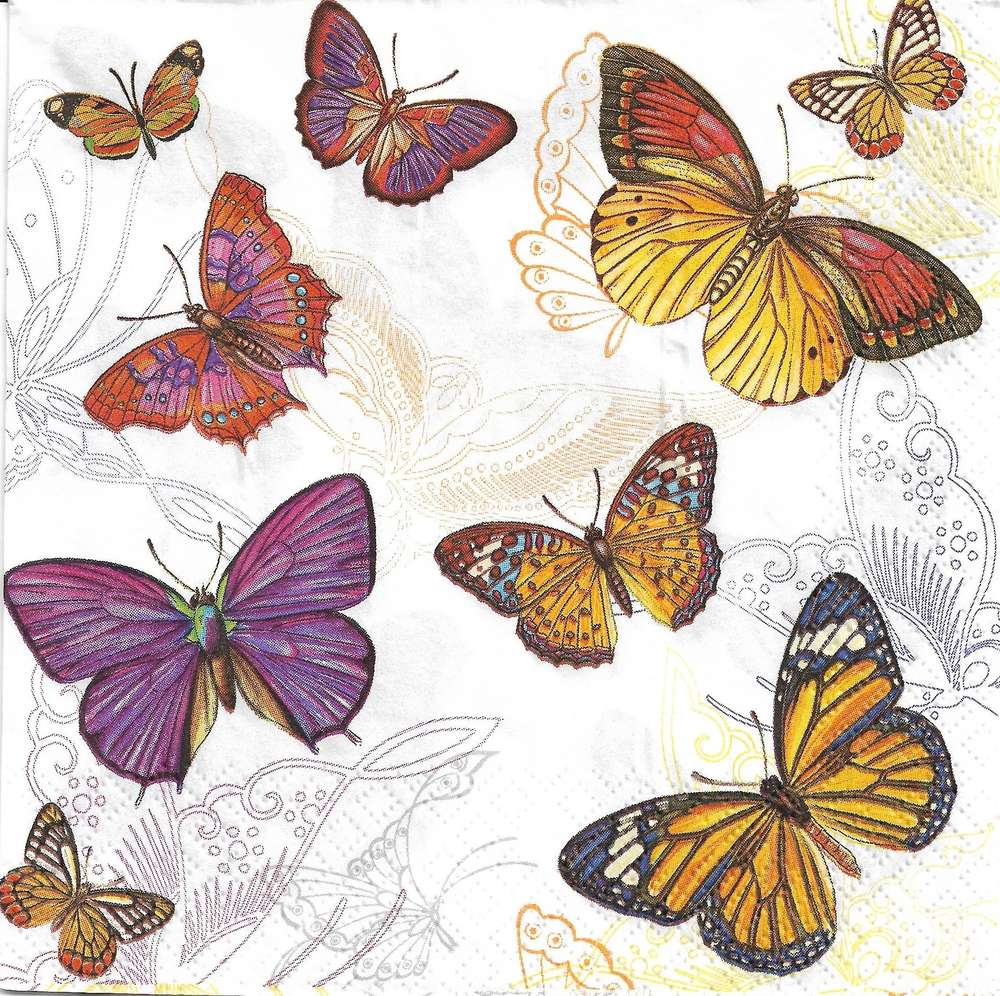 Butterfly , HD Wallpaper & Backgrounds