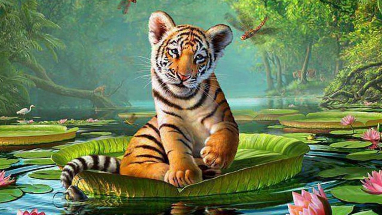 Animal Wallpapers, Animal Planet, Desktop Images, Free , HD Wallpaper & Backgrounds