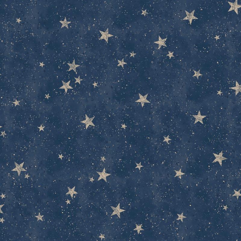 Starlight Stars Navy Blue / Gold Wallpaper - Navy And Gold Stars , HD Wallpaper & Backgrounds