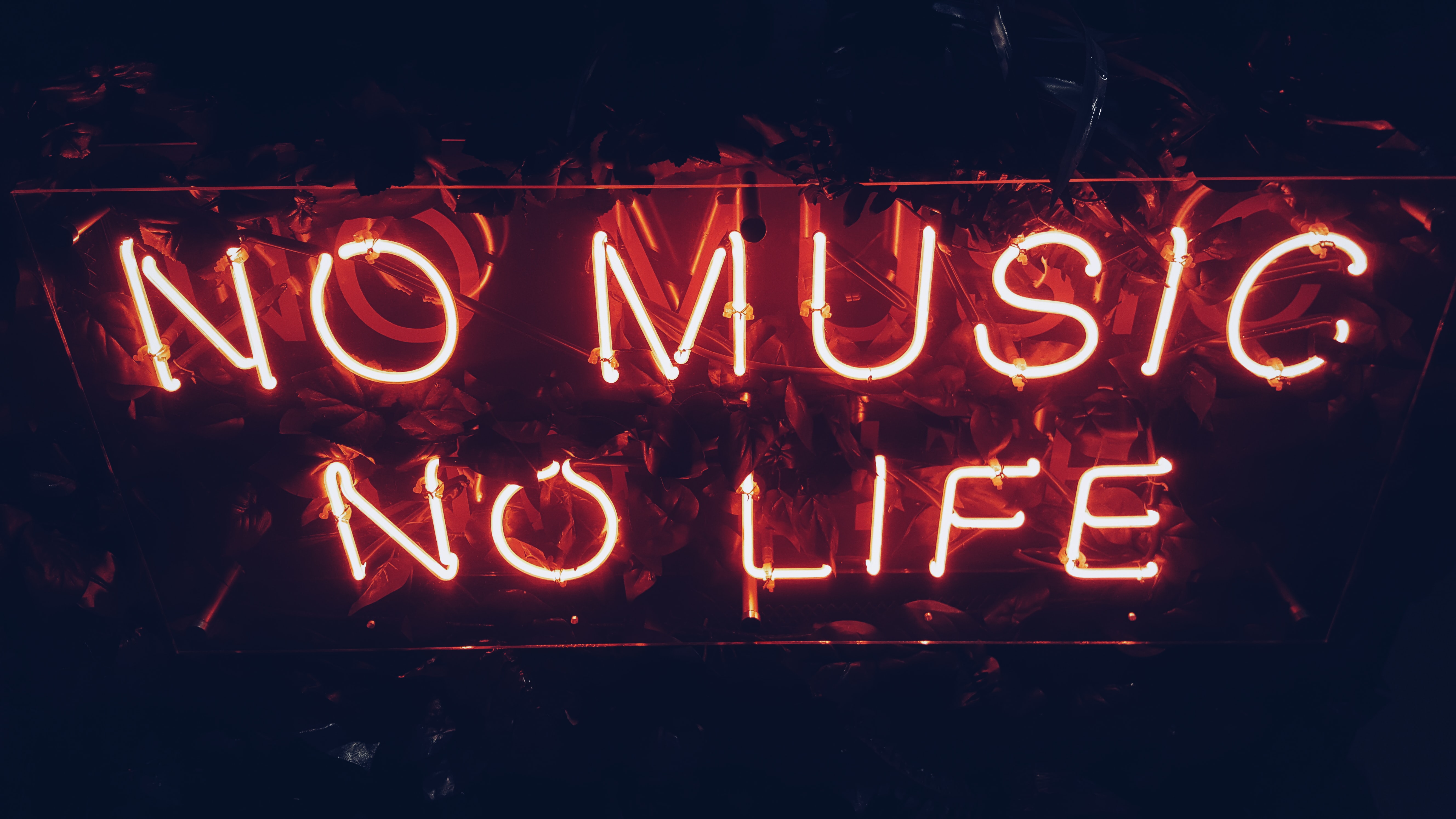 No Music No Life Gif , HD Wallpaper & Backgrounds