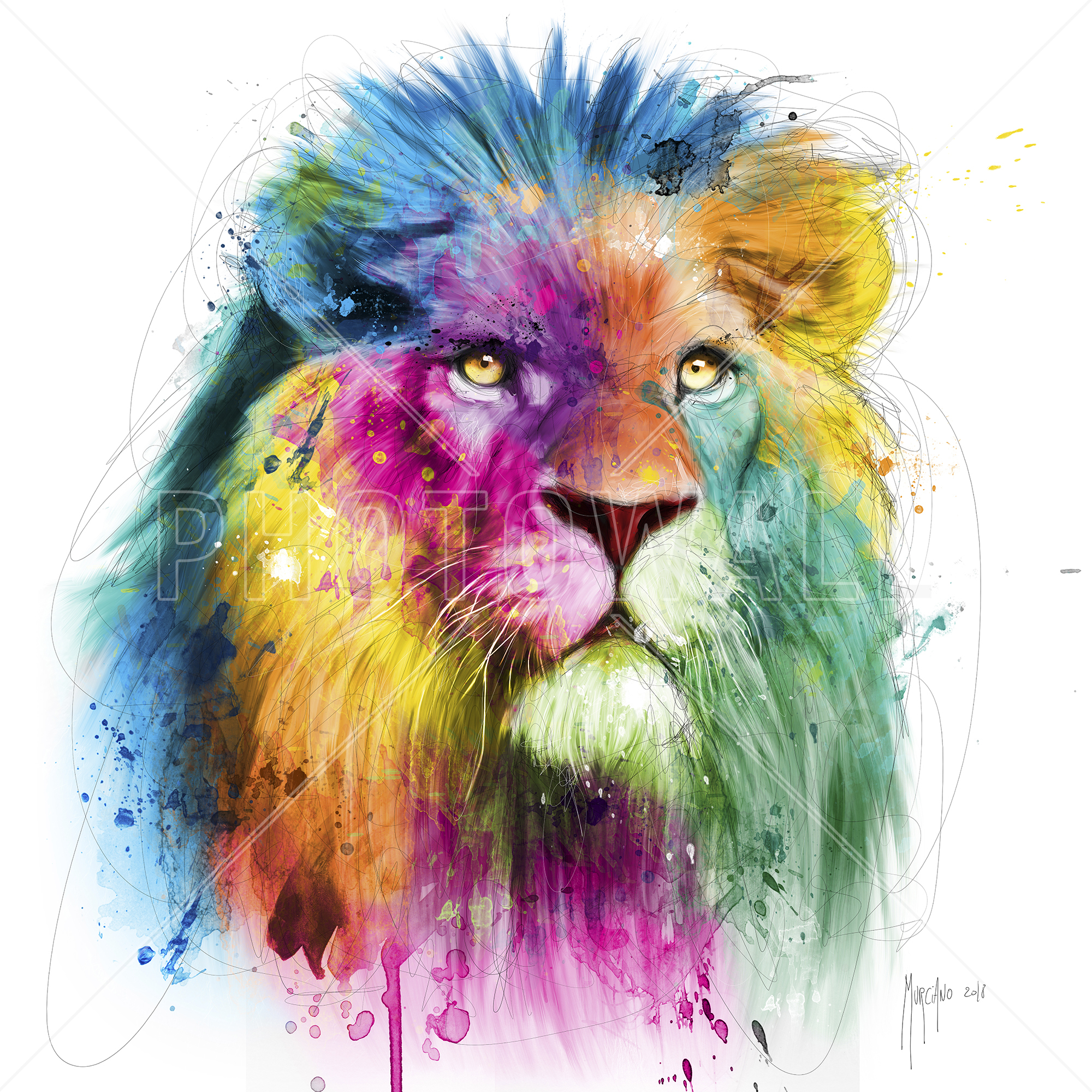 Lion - Wallpaper - Patrice Murciano Lion , HD Wallpaper & Backgrounds